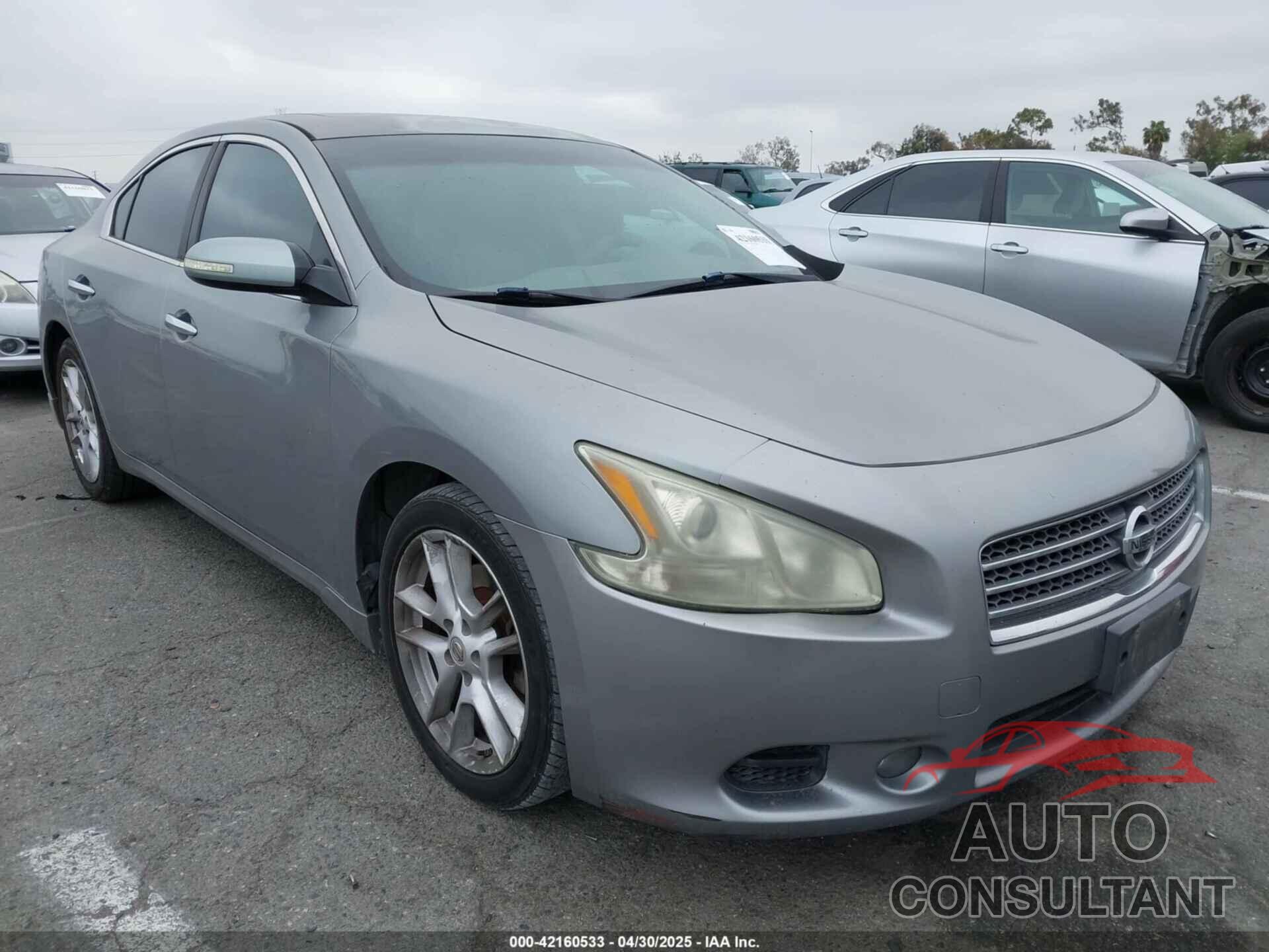 NISSAN MAXIMA 2009 - 1N4AA51E49C831446