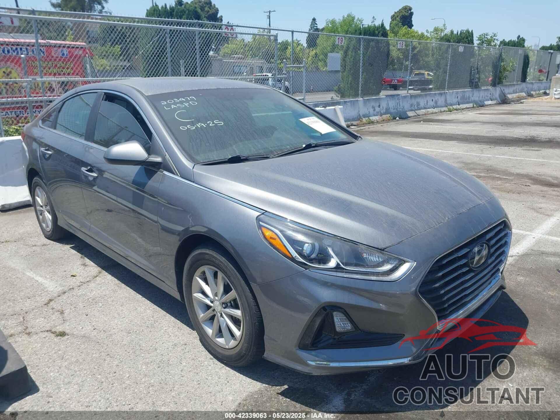 HYUNDAI SONATA 2019 - 5NPE24AF5KH792808