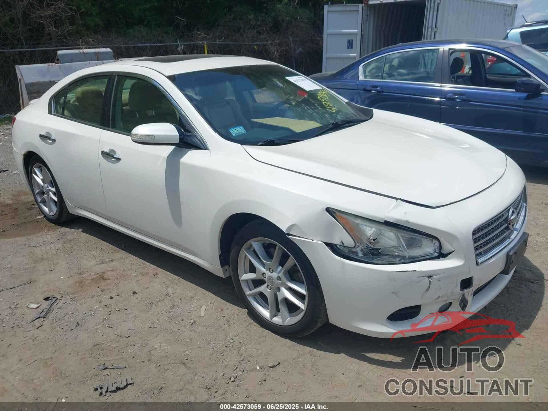 NISSAN MAXIMA 2009 - 1N4AA51E69C815958