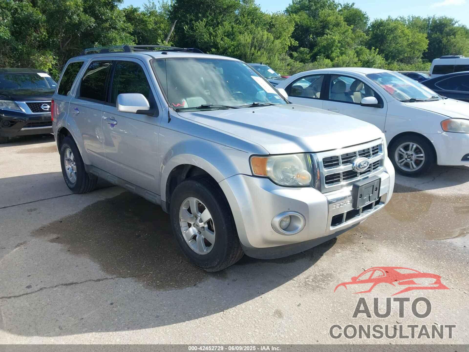 FORD ESCAPE 2010 - 1FMCU9EGXAKC13700