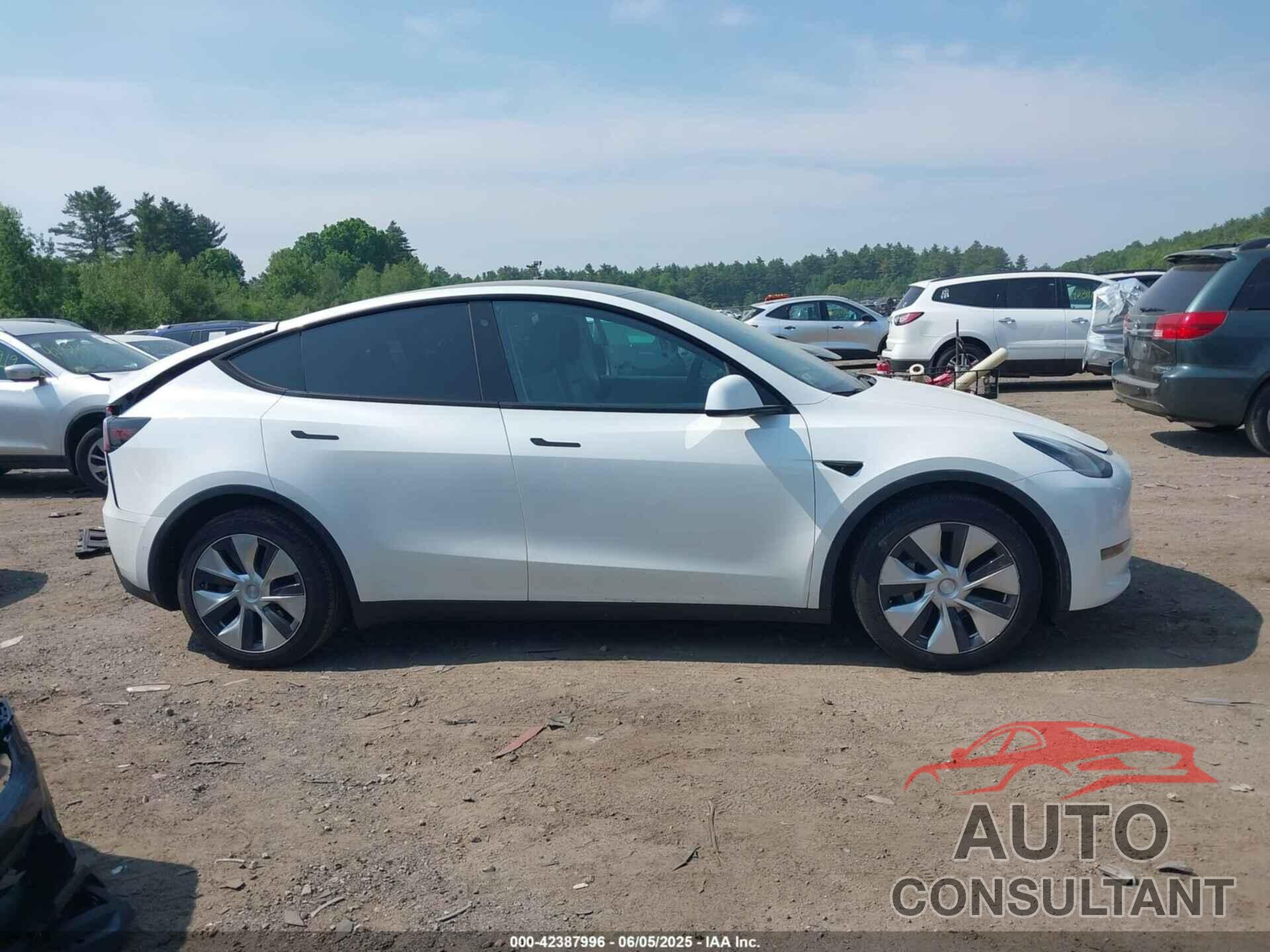 TESLA MODEL Y 2020 - 5YJYGDEEXLF028453