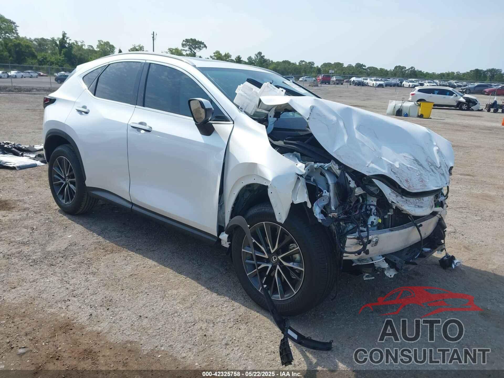 LEXUS NX 250 2025 - 2T2GDCAZ0SC017127