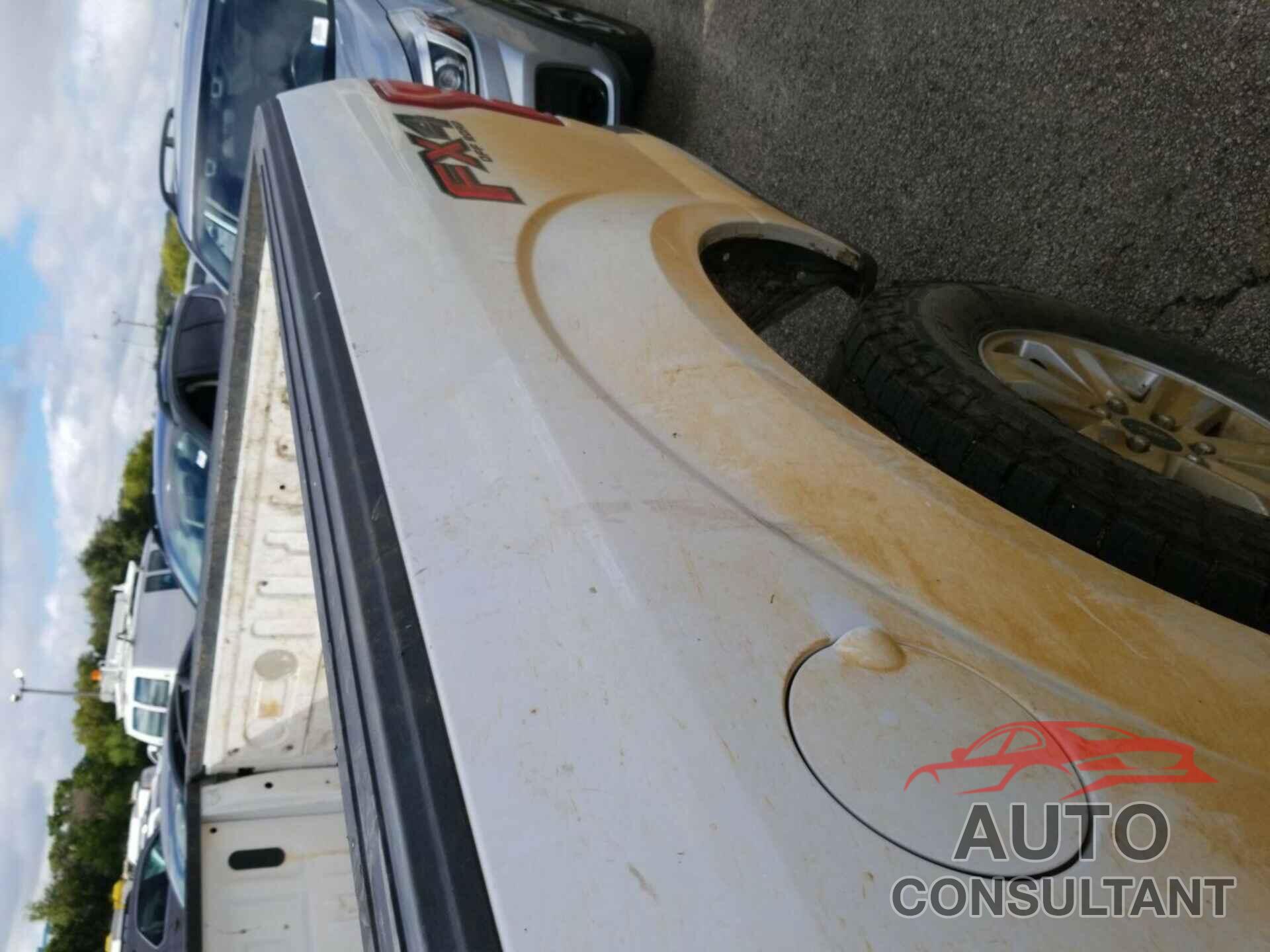FORD F150 2019 - 1FTFX1E58KKF04545