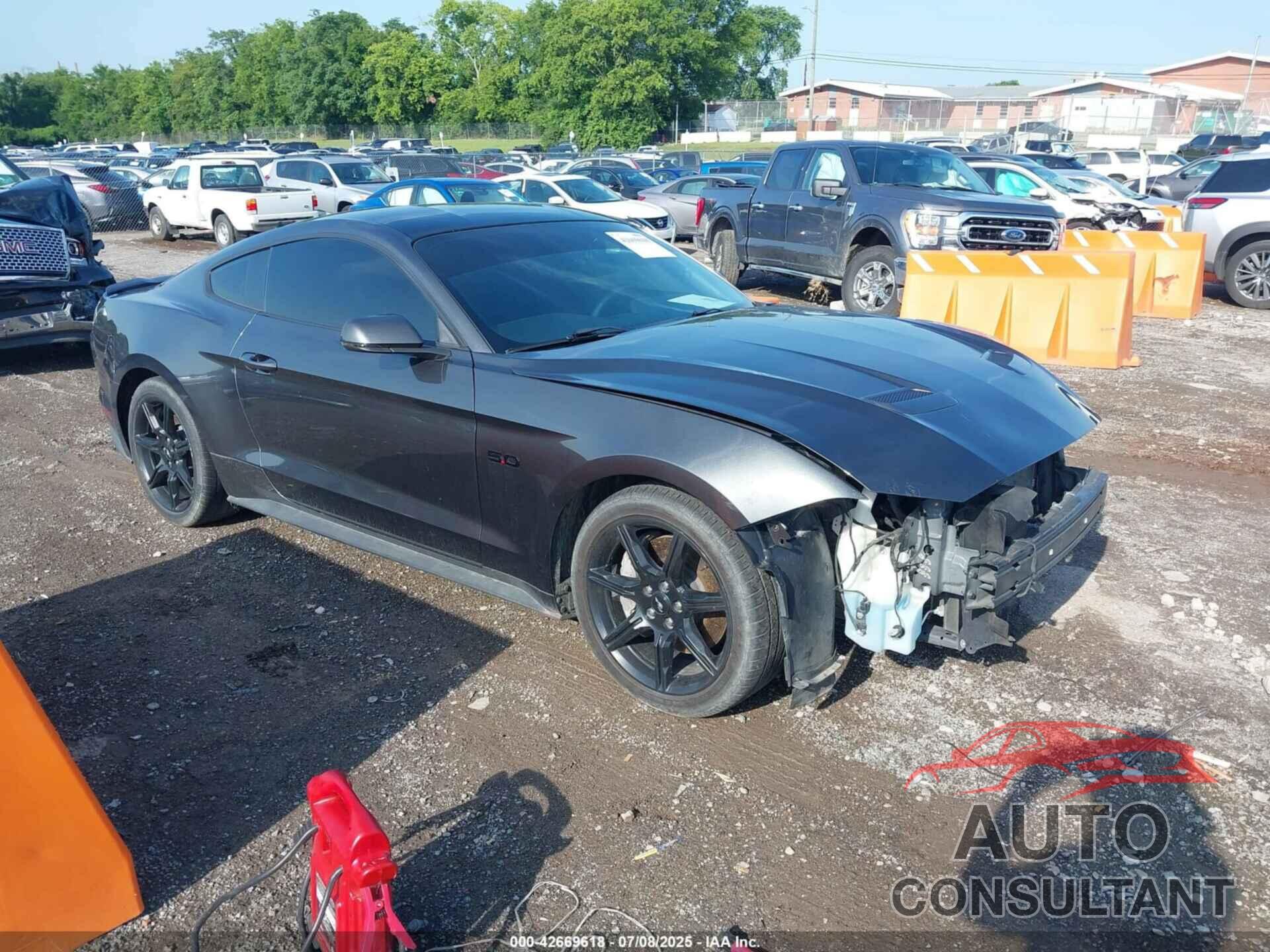 FORD MUSTANG 2019 - 1FA6P8CF3K5204114