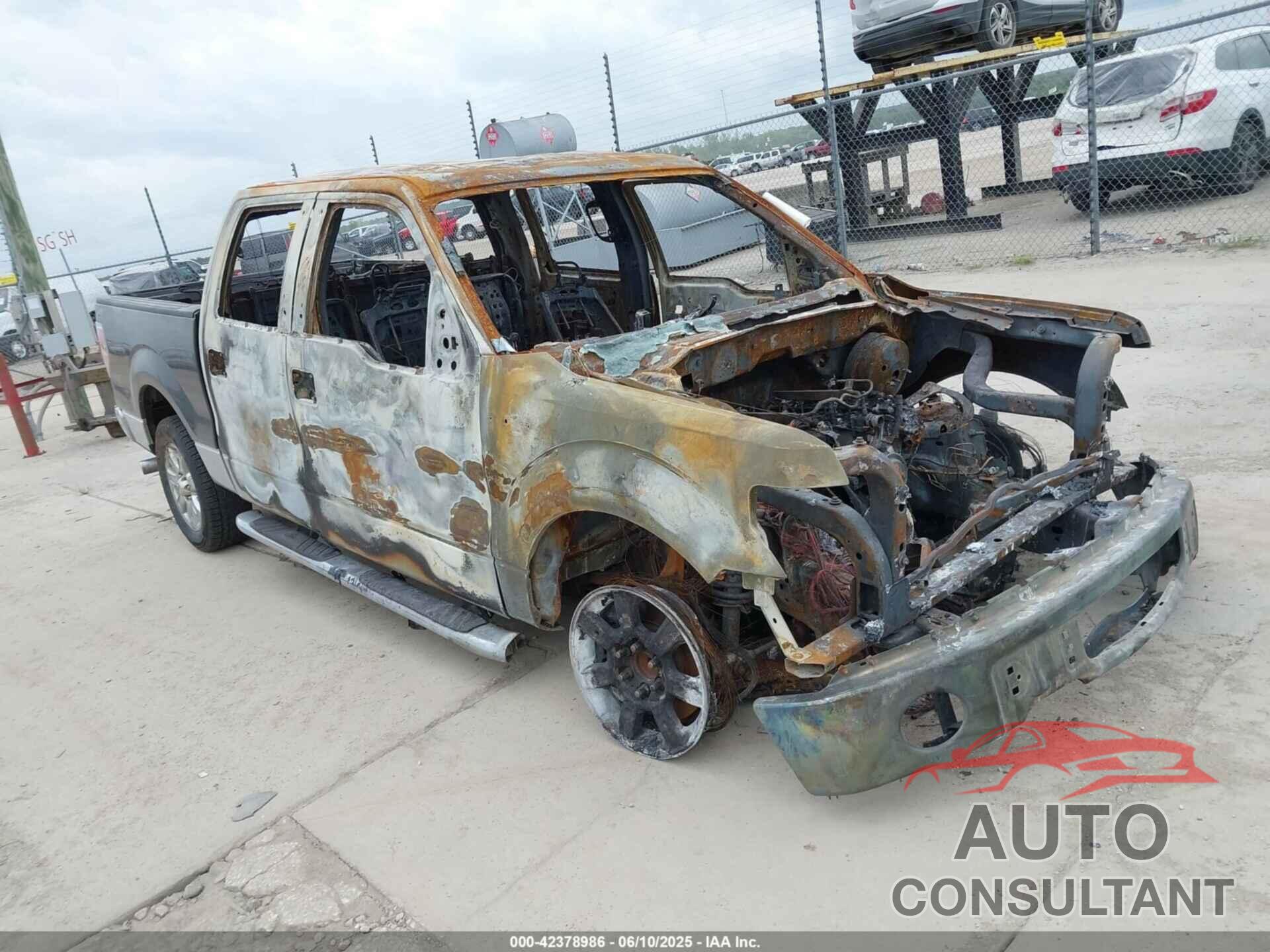 FORD F-150 2013 - 1FTFW1CF6DKD79840