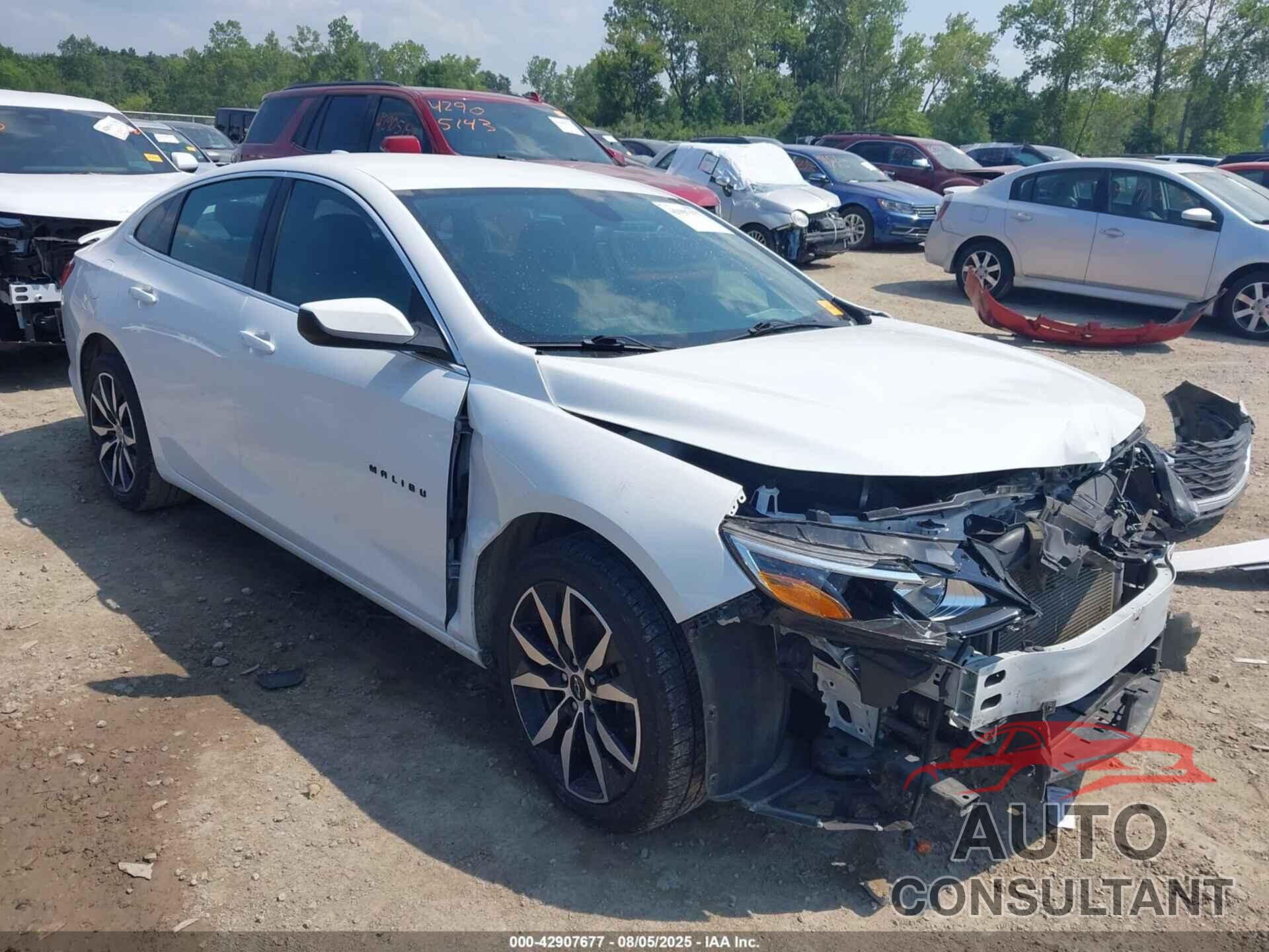 CHEVROLET MALIBU 2022 - 1G1ZG5ST2NF209065