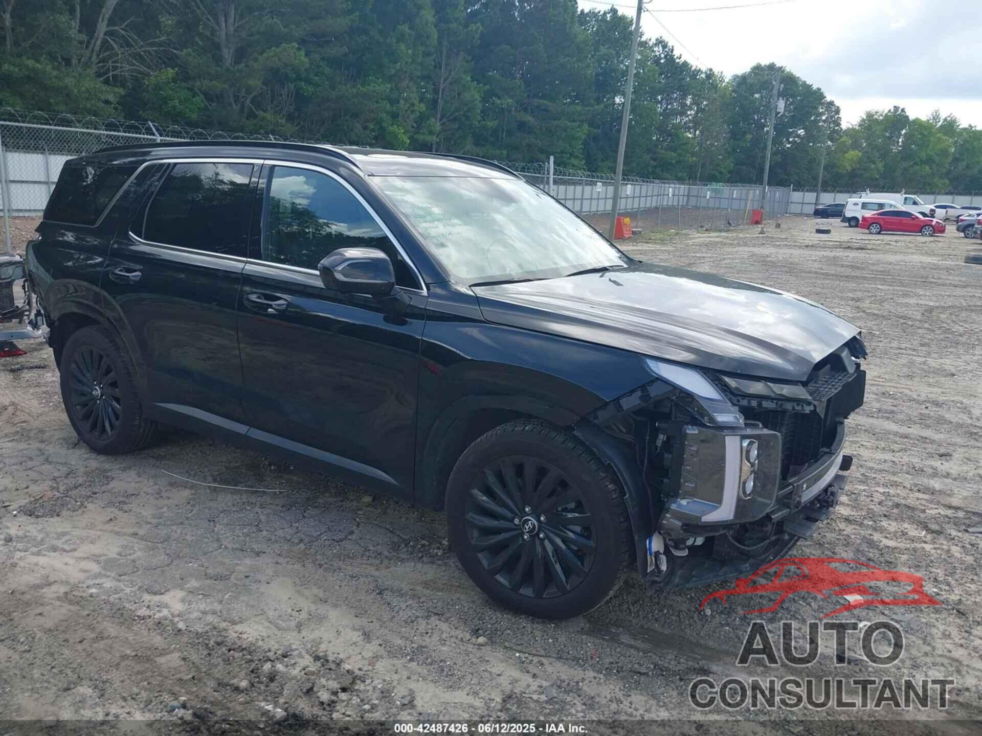 HYUNDAI PALISADE 2024 - KM8R7DGE8RU769620