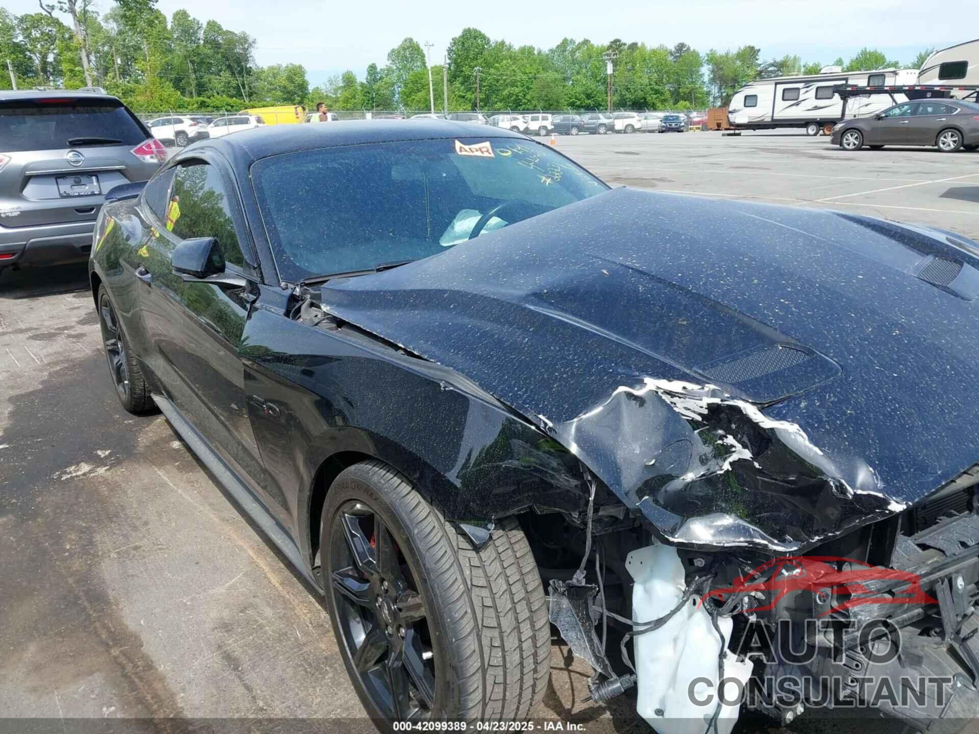 FORD MUSTANG 2019 - 1FA6P8CF6K5146855