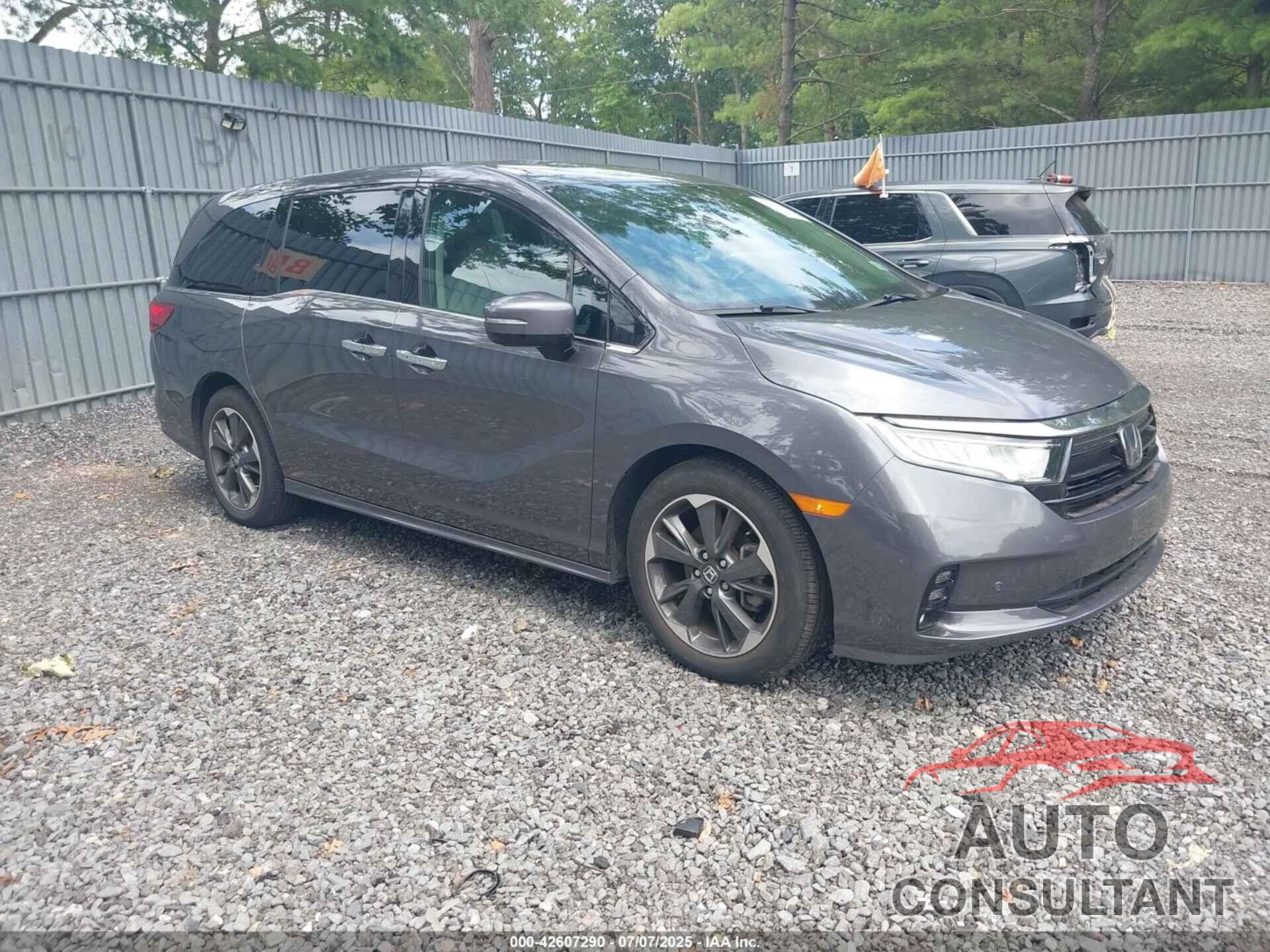 HONDA ODYSSEY 2023 - 5FNRL6H9XPB070220