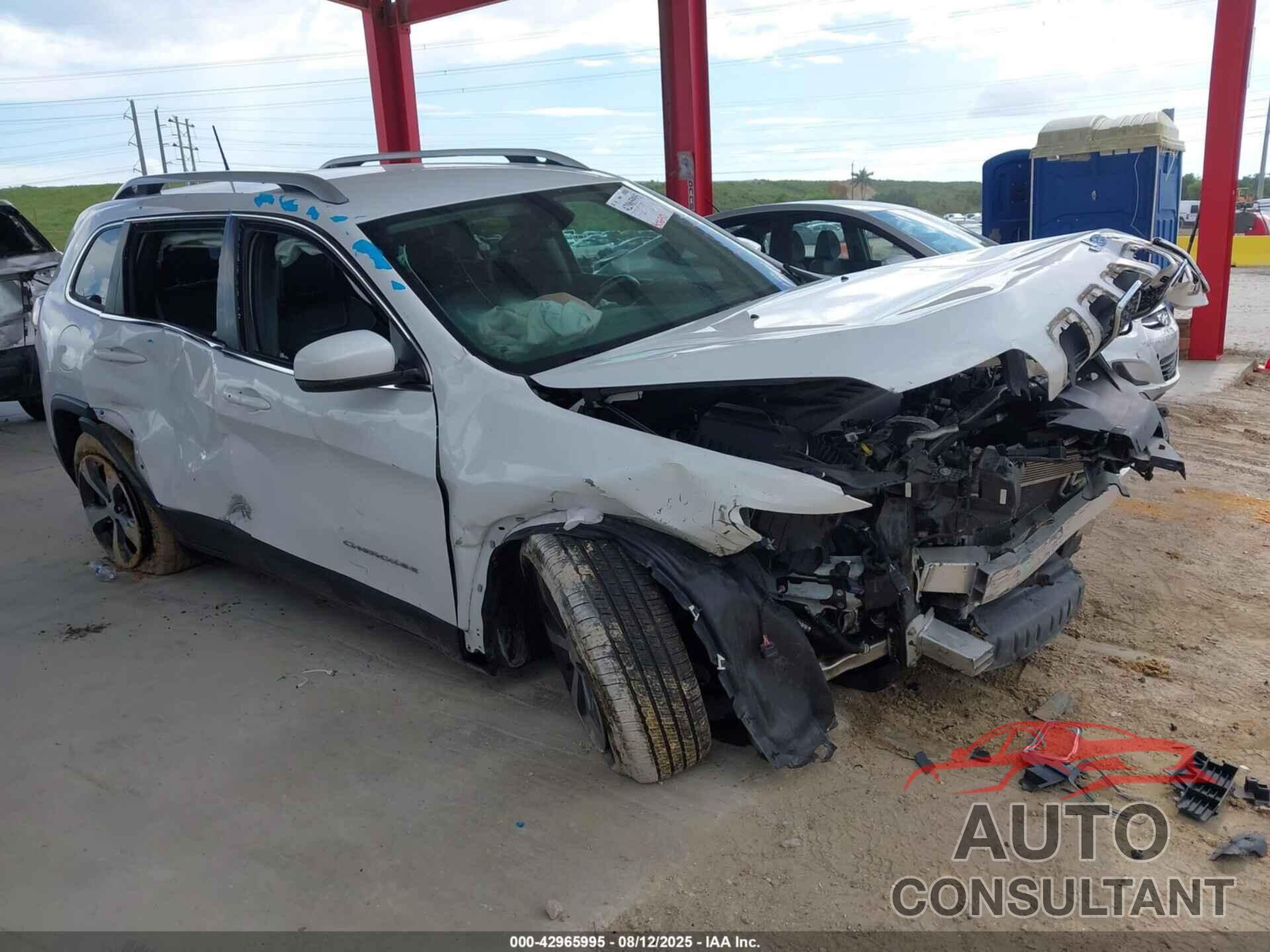 JEEP CHEROKEE 2019 - 1C4PJMDN1KD131880
