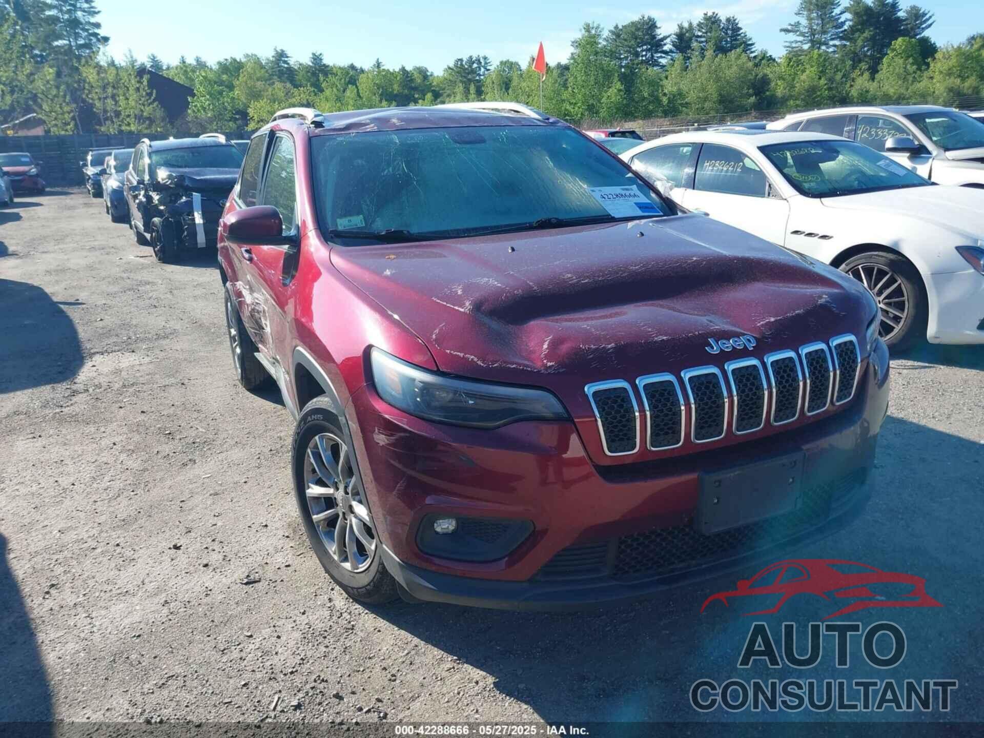 JEEP CHEROKEE 2019 - 1C4PJMLB1KD191245