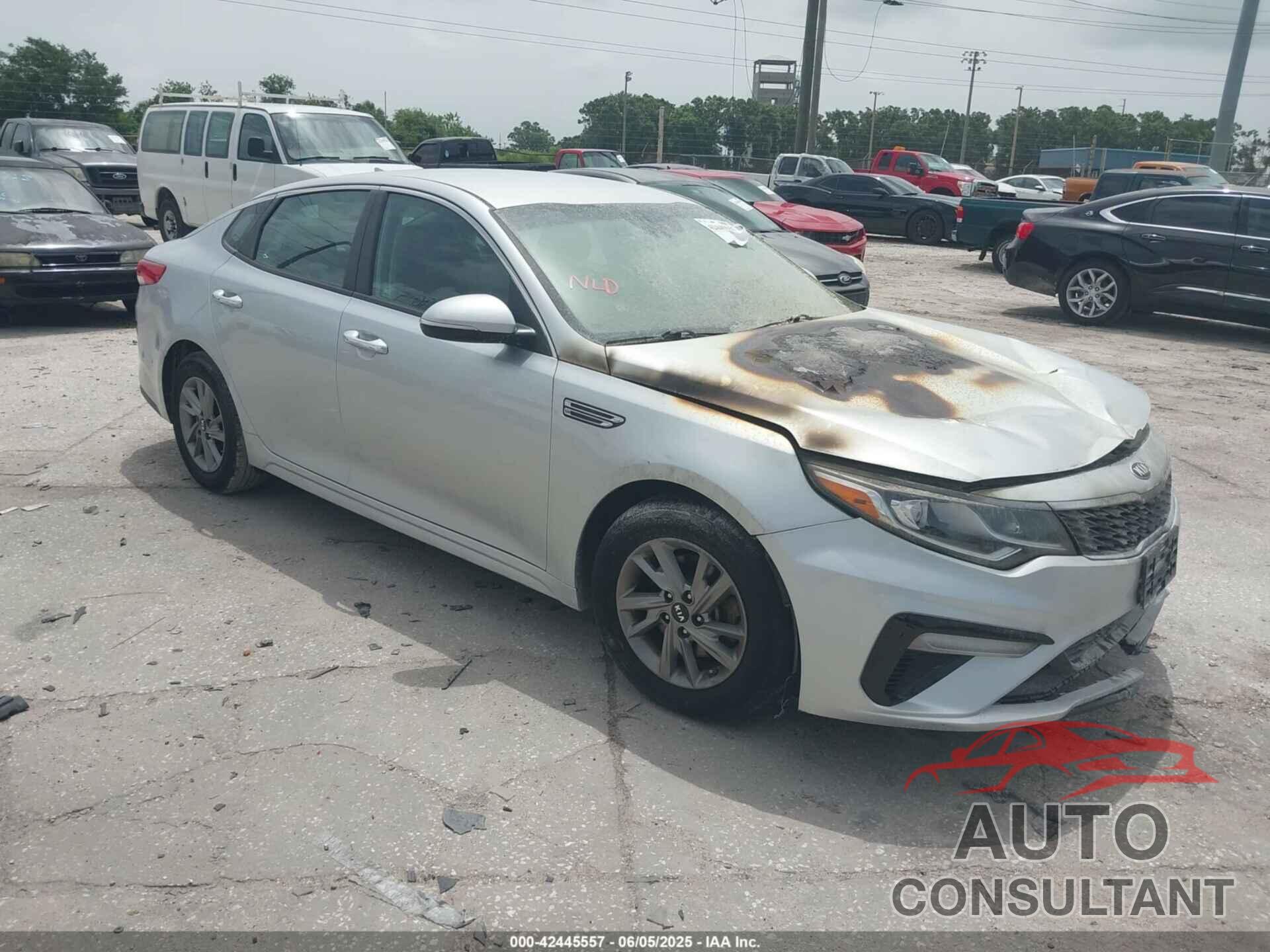 KIA OPTIMA 2019 - 5XXGT4L35KG316613