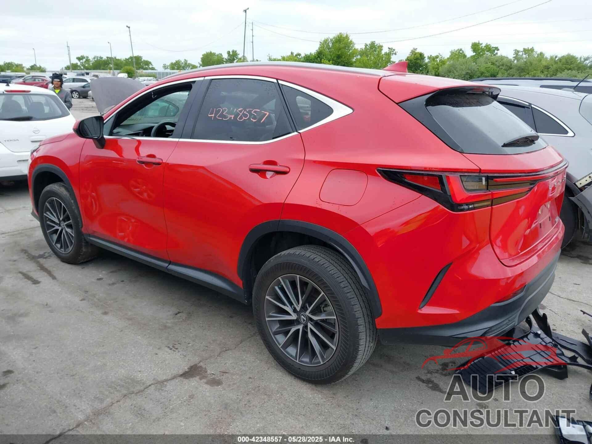 LEXUS NX 250 2022 - 2T2GDCAZ2NC002889