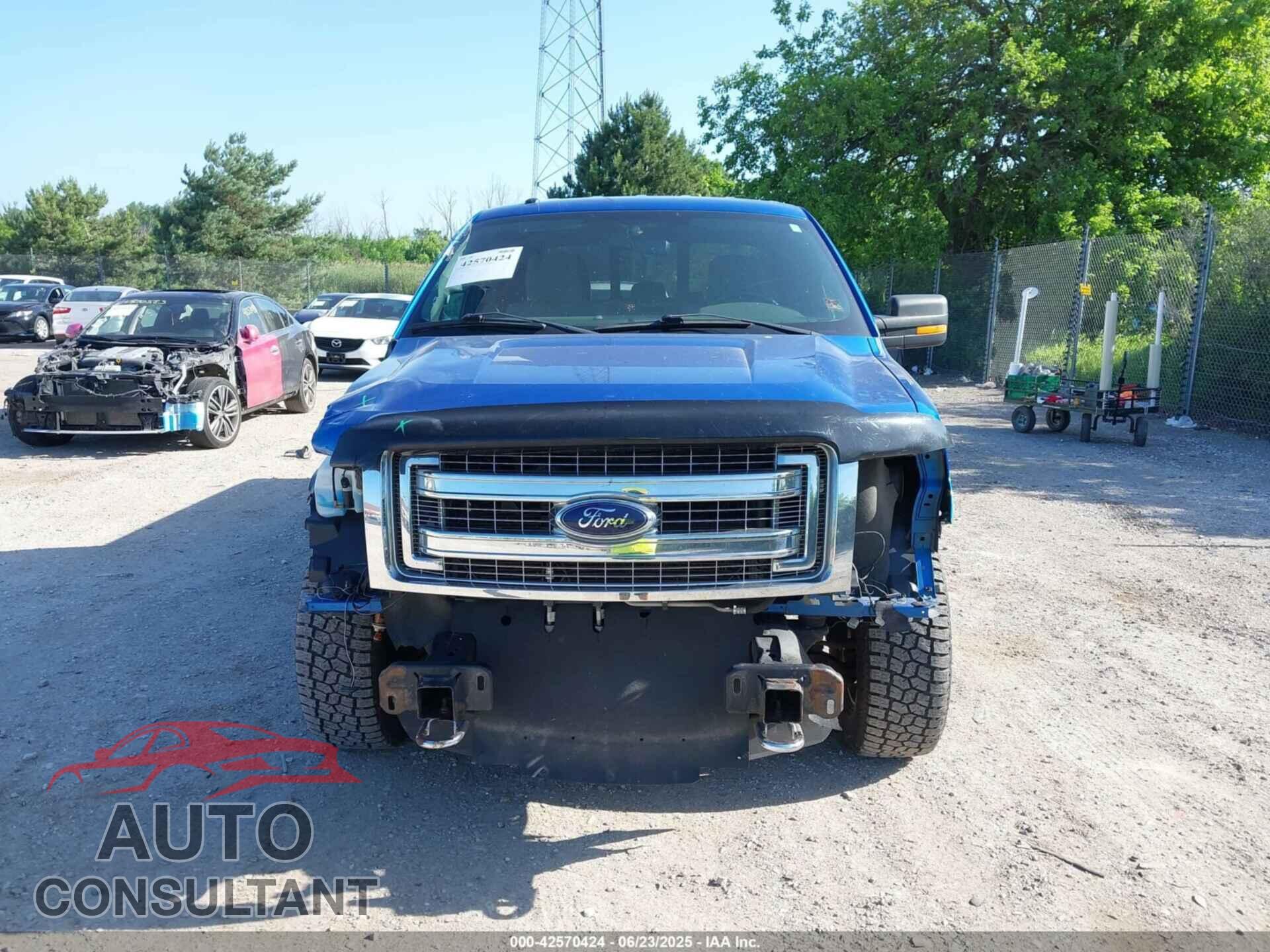 FORD F-150 2013 - 1FTFX1EF1DFD25414