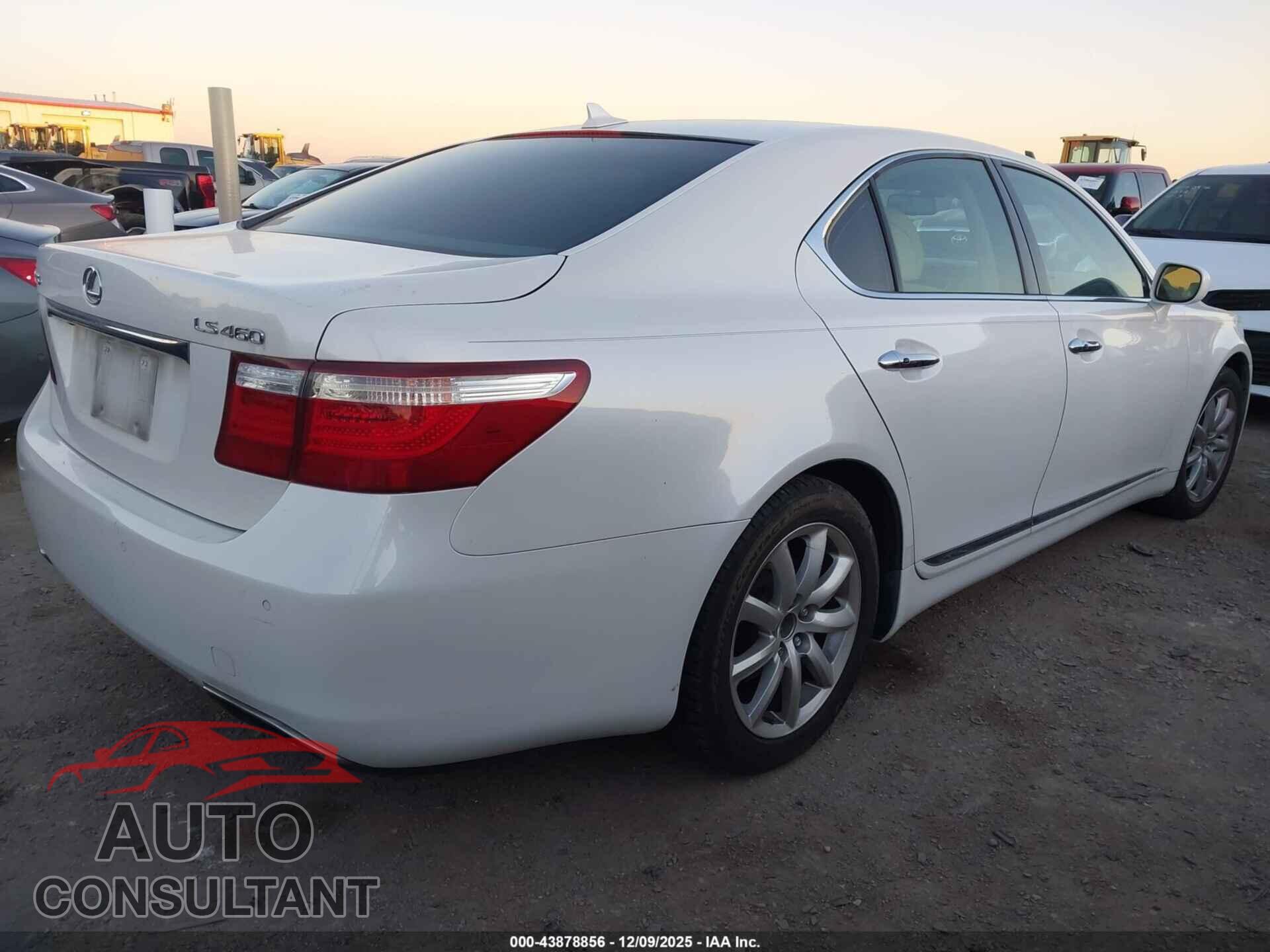 LEXUS LS 460 2009 - JTHBL46F095085357
