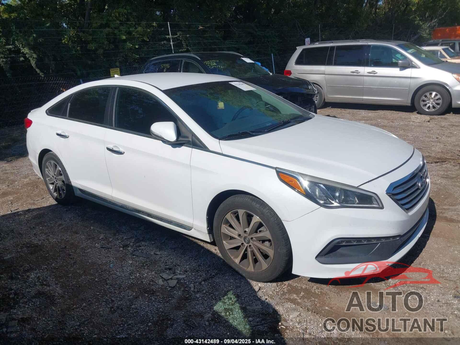 HYUNDAI SONATA 2016 - 5NPE34AF2GH307335