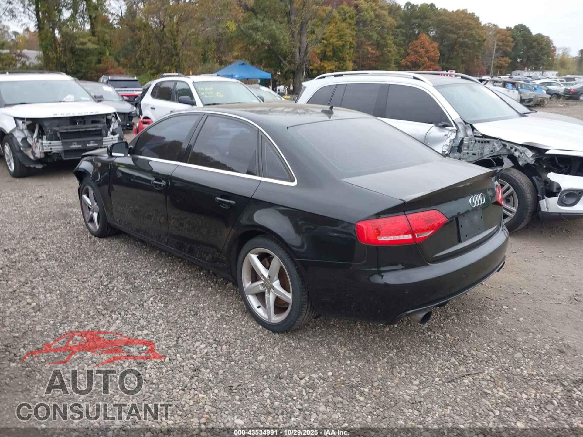 AUDI A4 2011 - WAUMFBFL9BN044384