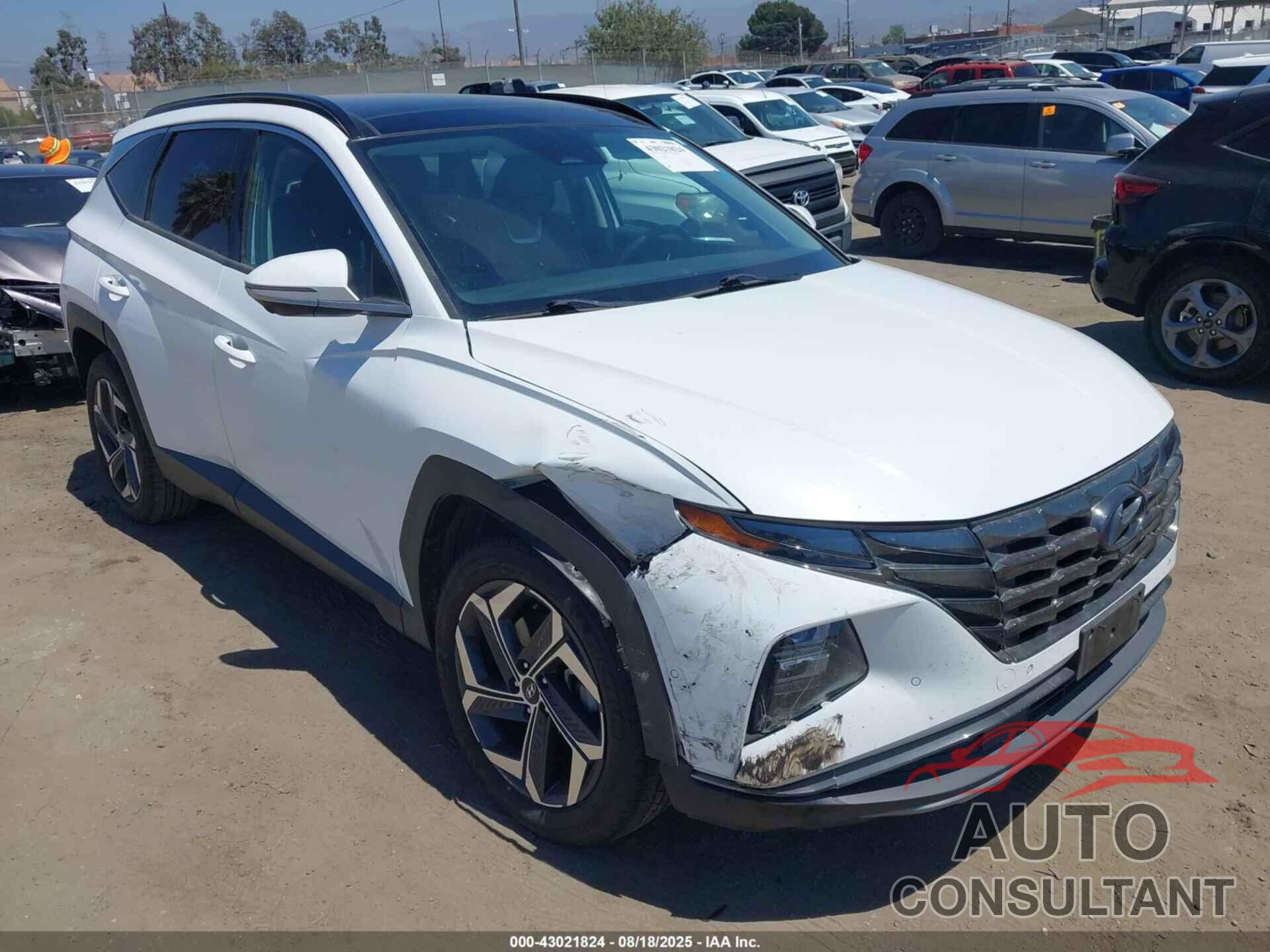 HYUNDAI TUCSON HYBRID 2022 - KM8JECA12NU026903