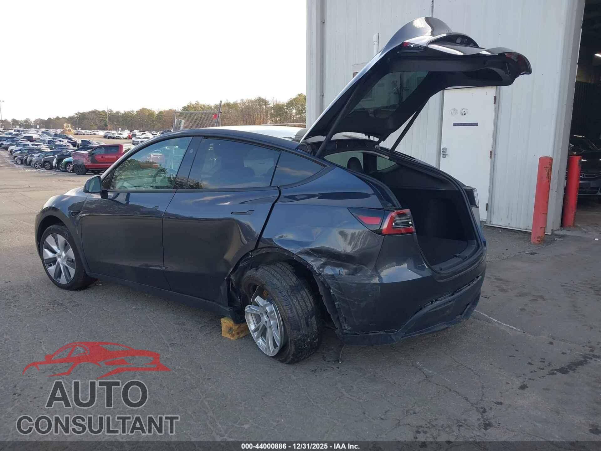 TESLA MODEL Y 2024 - 7SAYGDED1RF092383
