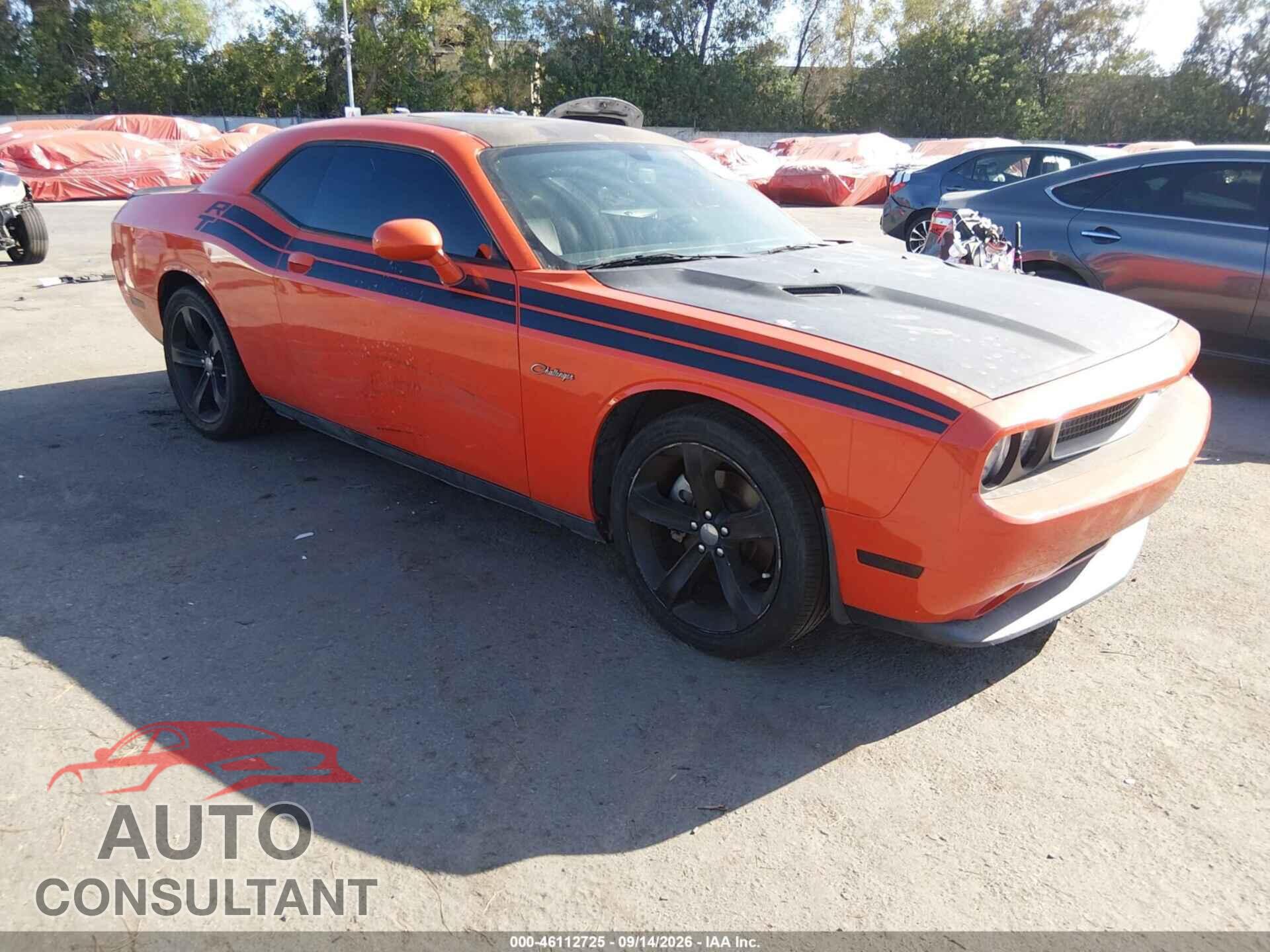 DODGE CHALLENGER 2013 - 2C3CDYBT7DH733580