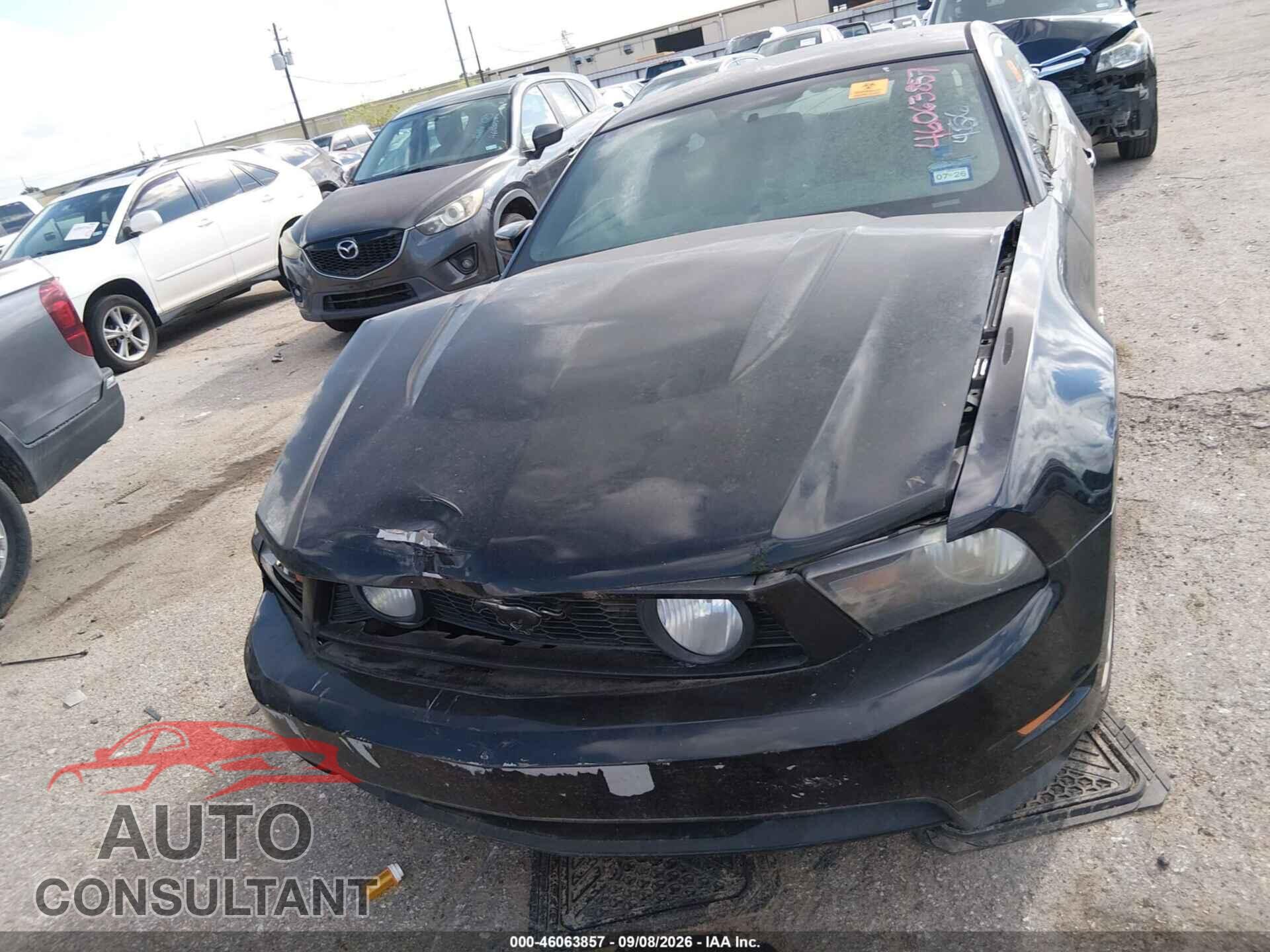 FORD MUSTANG 2012 - 1ZVBP8CF2C5260424