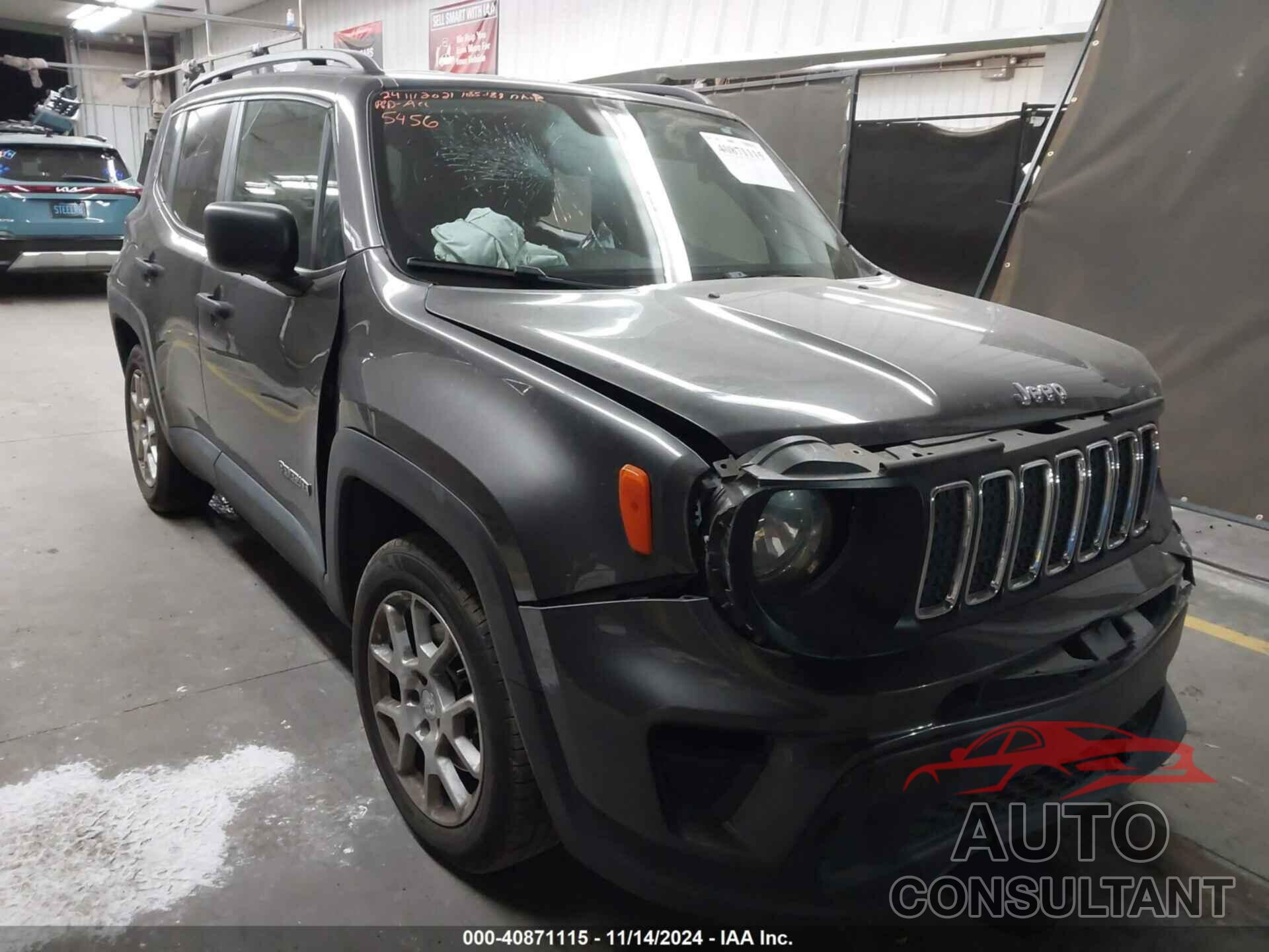 JEEP RENEGADE 2019 - ZACNJAAB1KPK45456