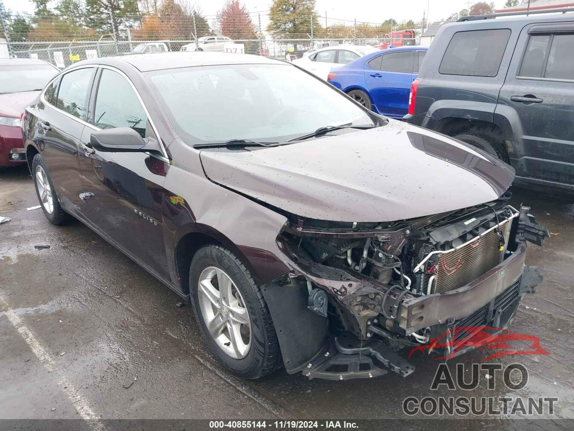 CHEVROLET MALIBU 2021 - 1G1ZB5ST4MF022133