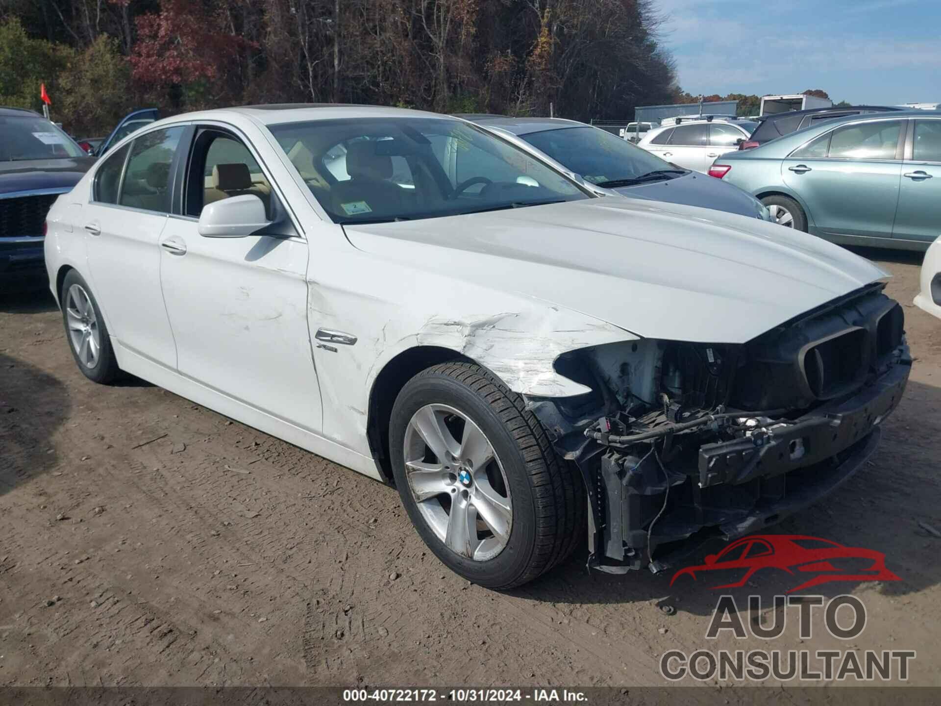 BMW 528I 2012 - WBAXH5C51CC594867