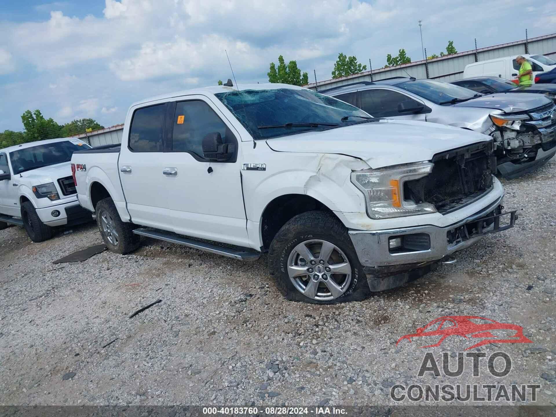 FORD F-150 2019 - 1FTEW1E49KFC29508