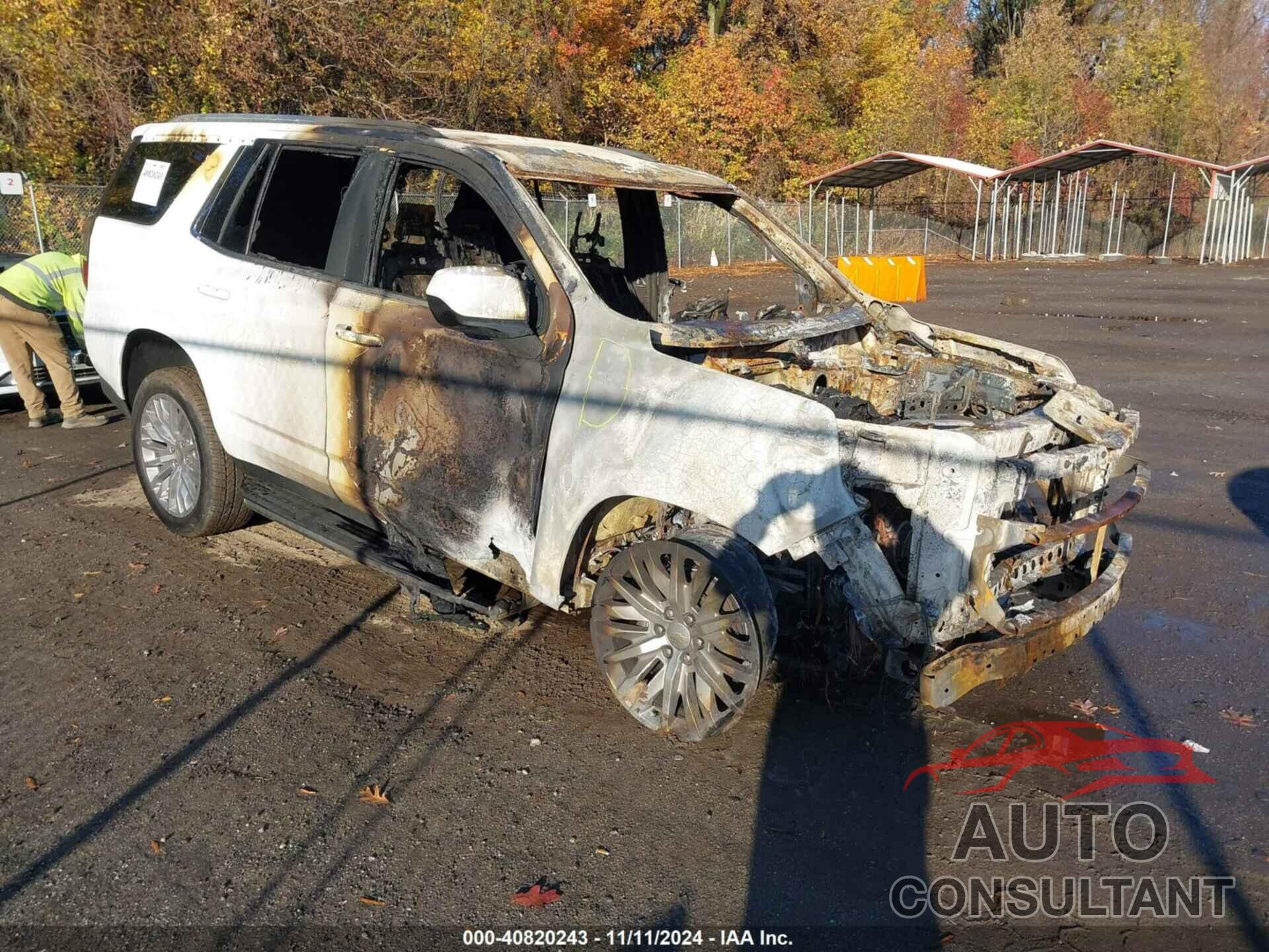 CHEVROLET TAHOE 2024 - 1GNSKMKD5RR281447