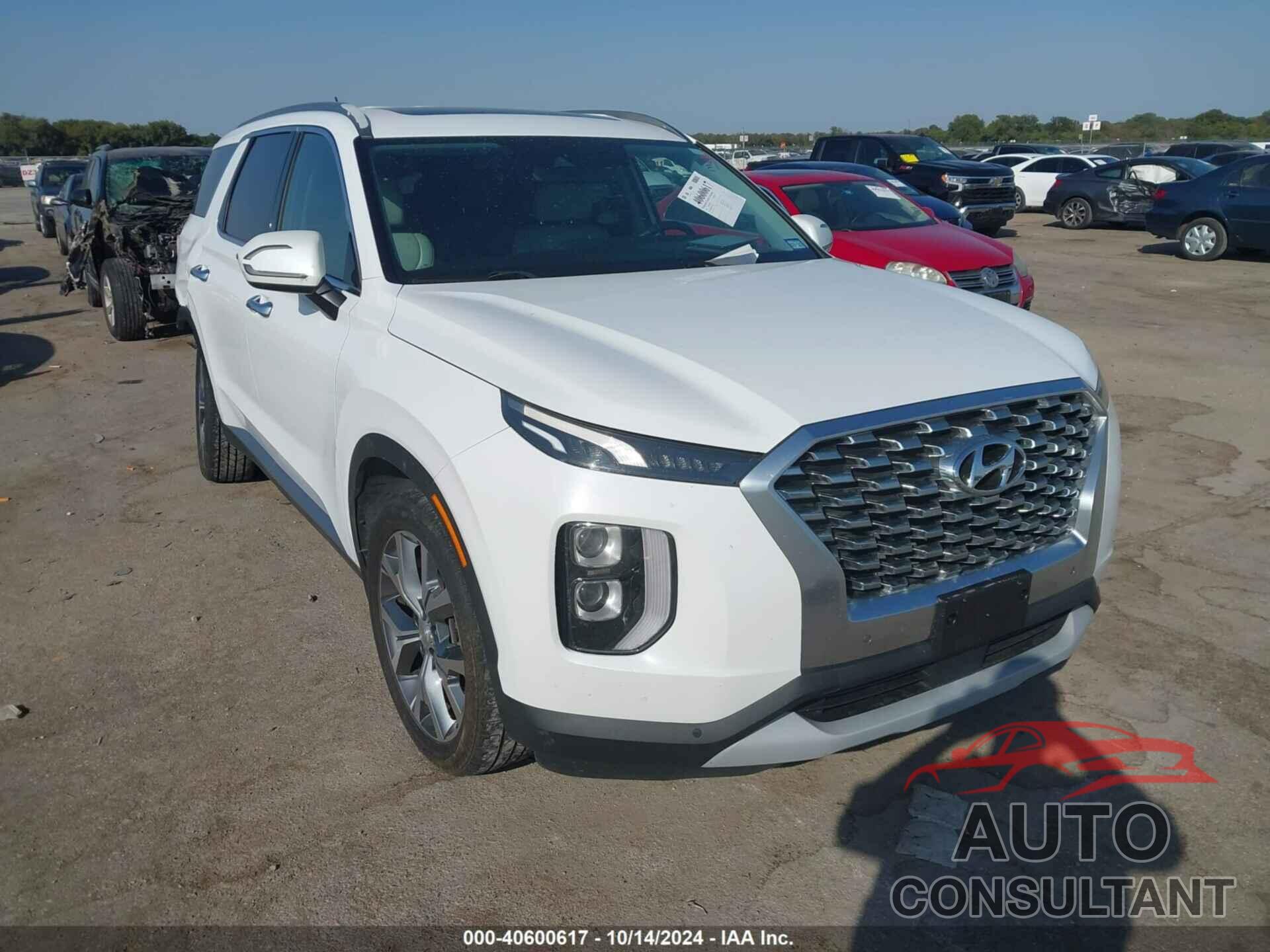 HYUNDAI PALISADE 2020 - KM8R3DHE7LU050277