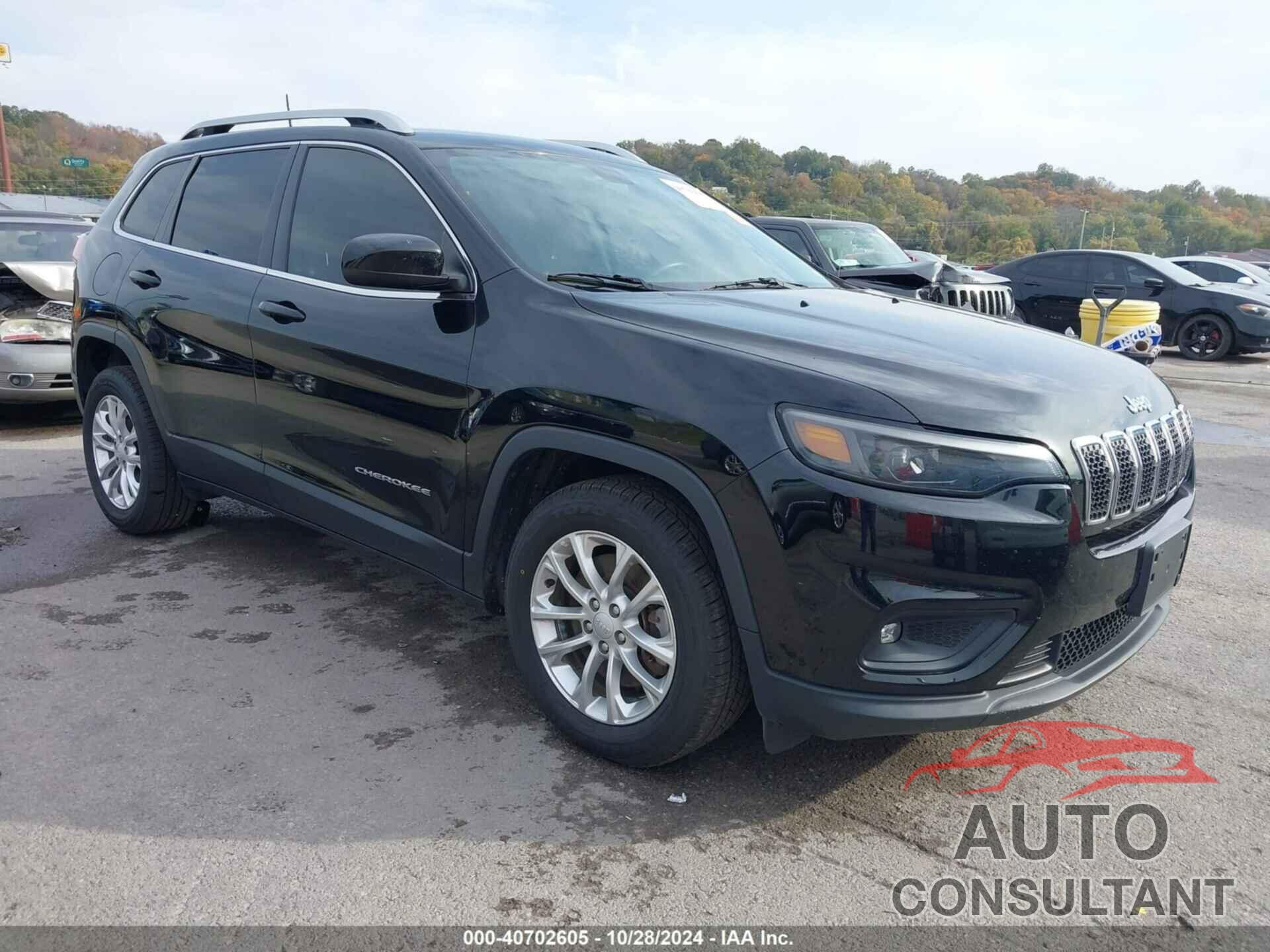 JEEP CHEROKEE 2019 - 1C4PJLCB4KD348745