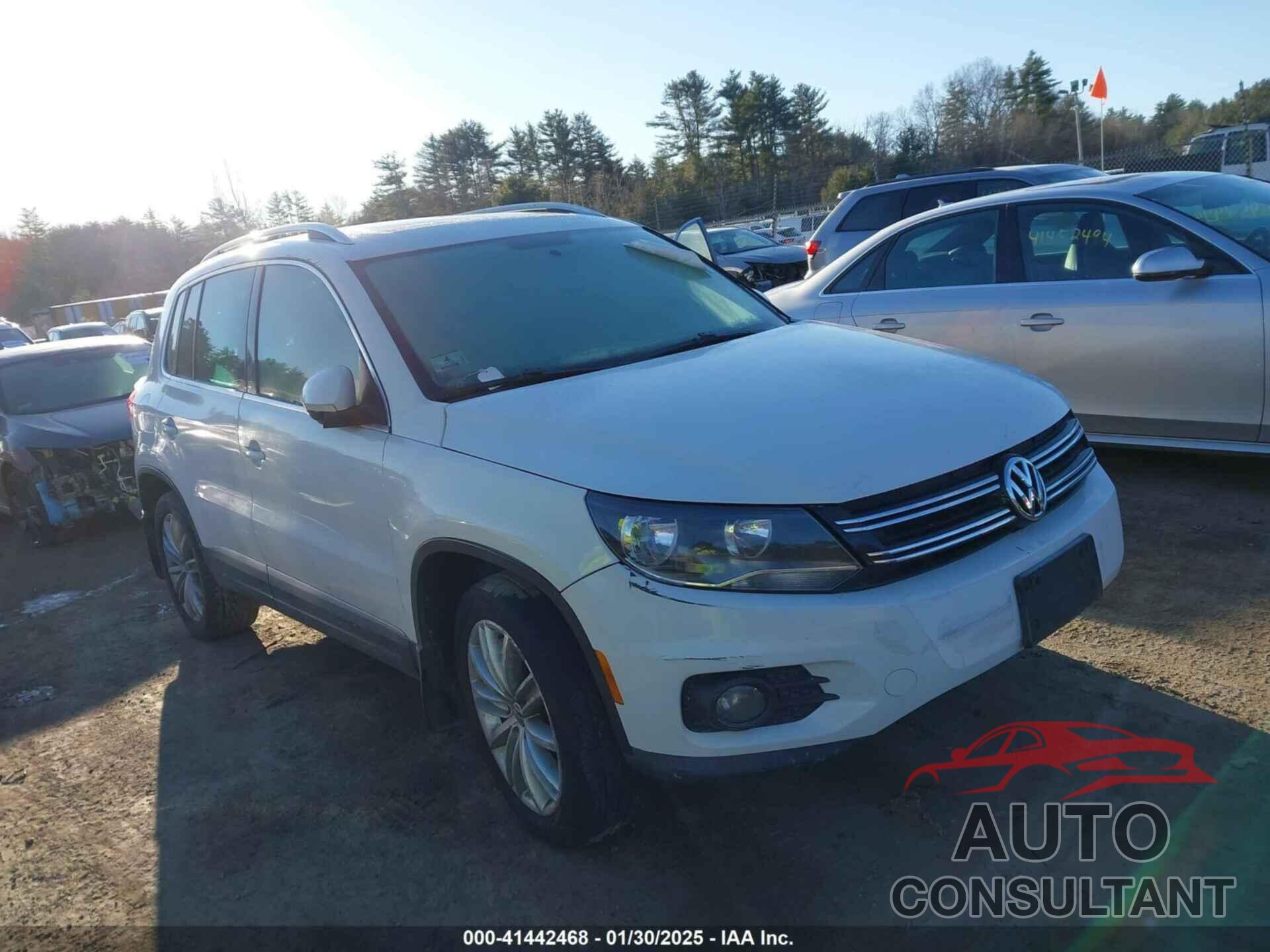 VOLKSWAGEN TIGUAN 2013 - WVGBV3AX9DW590687