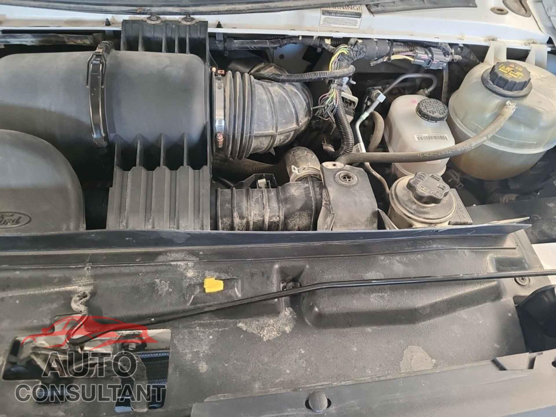 FORD ECONOLINE 2019 - 1FDXE4FS7KDC19352