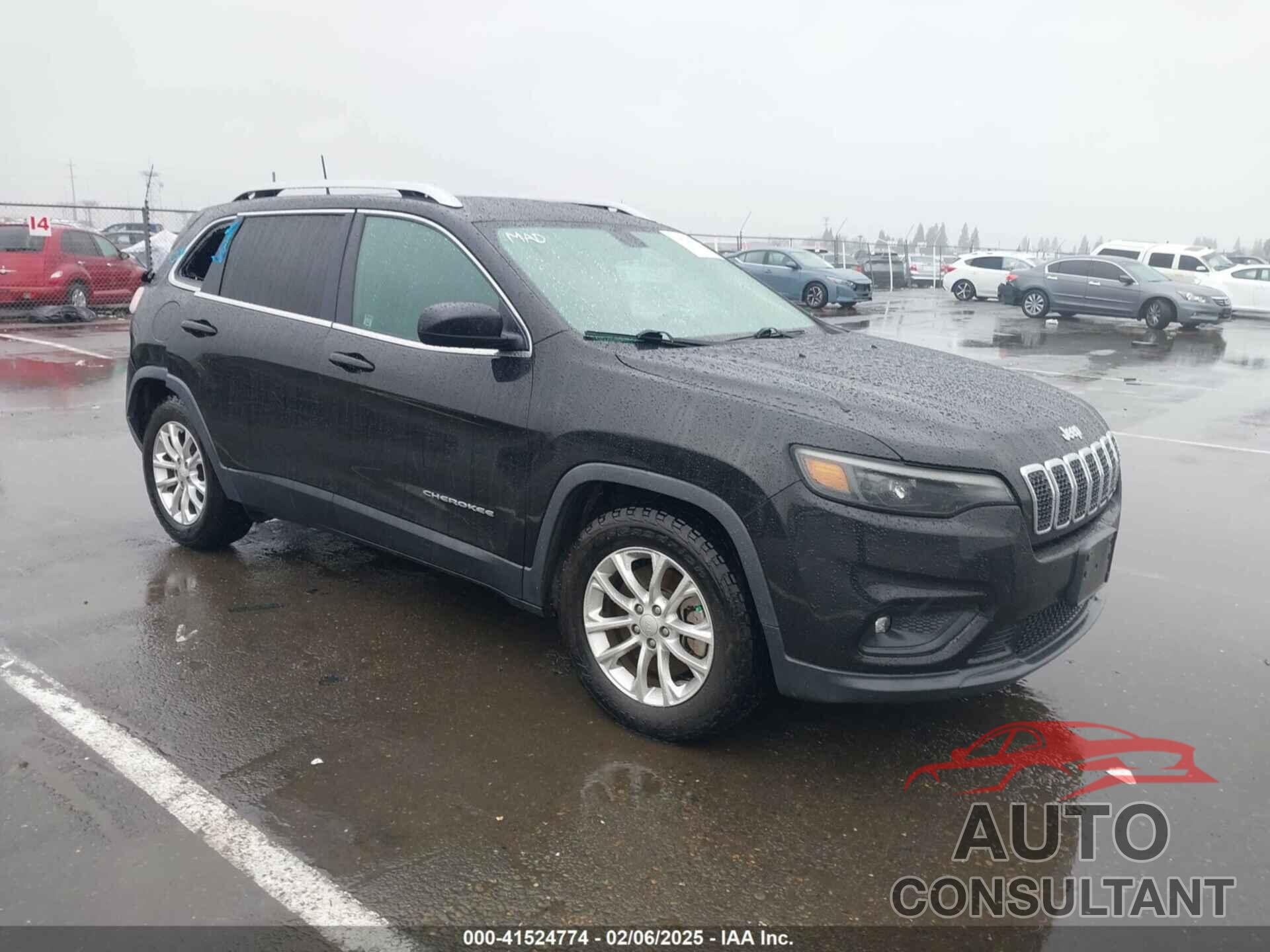 JEEP CHEROKEE 2019 - 1C4PJLCB4KD171646