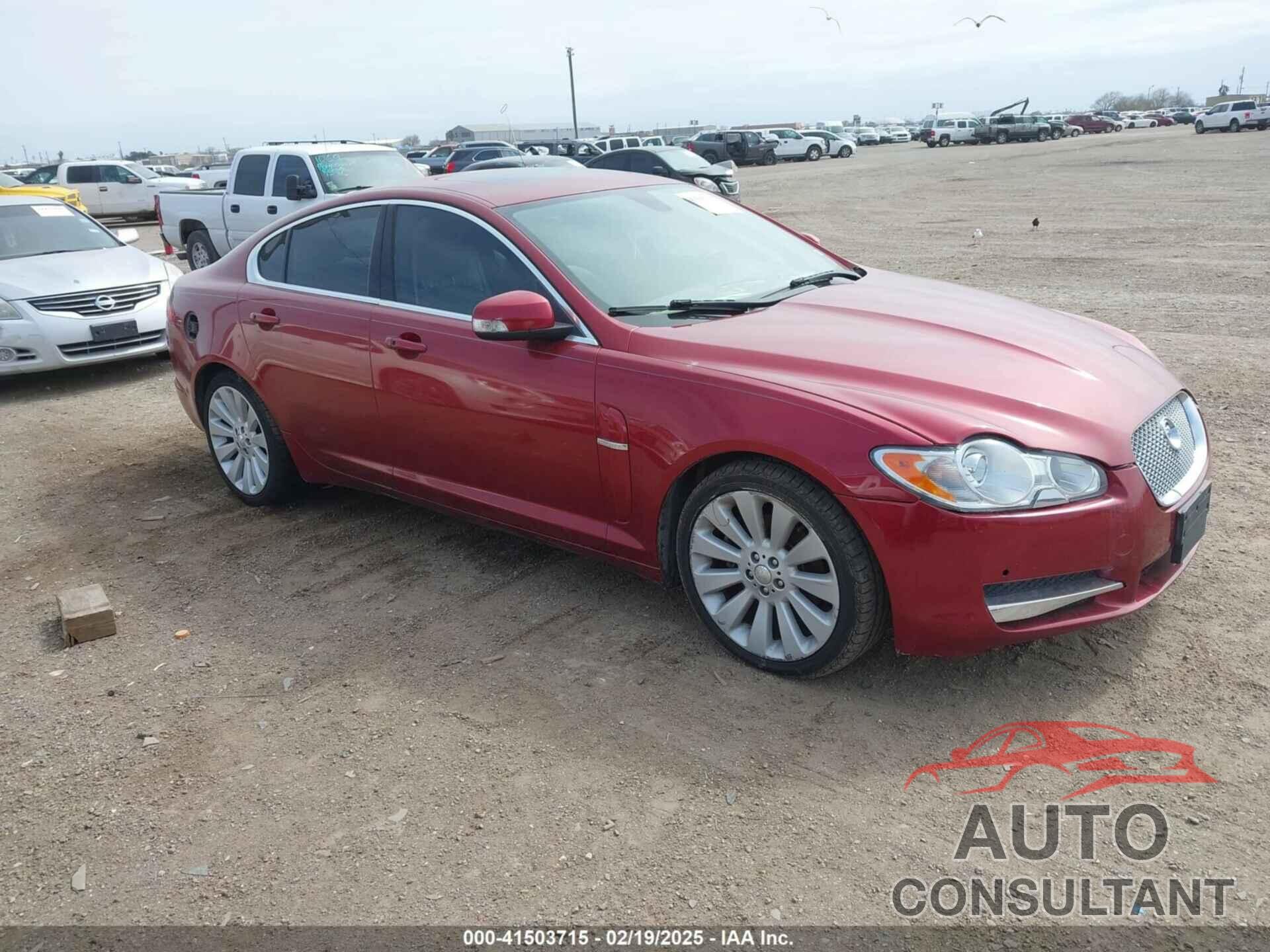 JAGUAR XF 2009 - SAJWA06B59HR05611