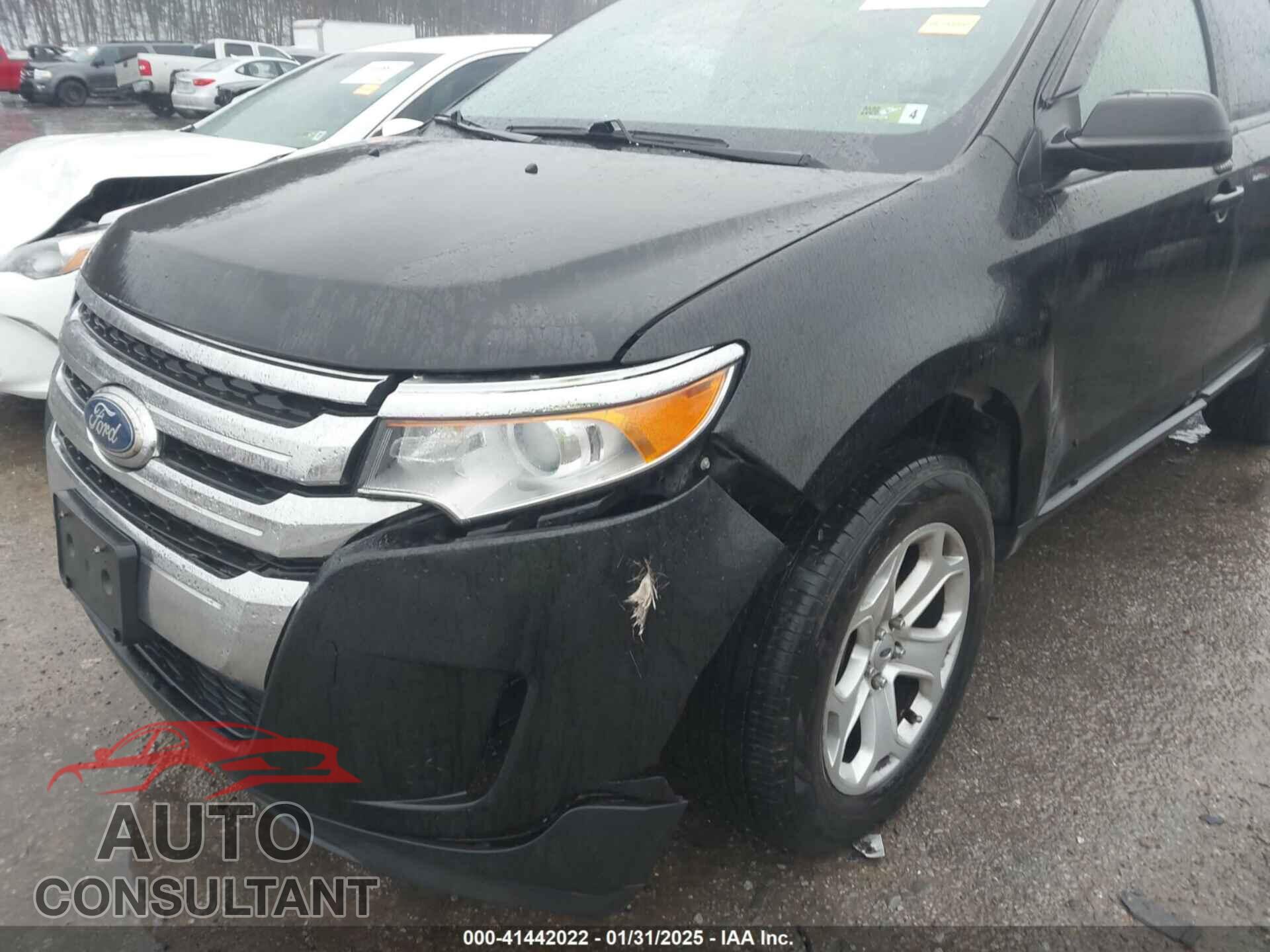 FORD EDGE 2014 - 2FMDK4GC2EBA89302