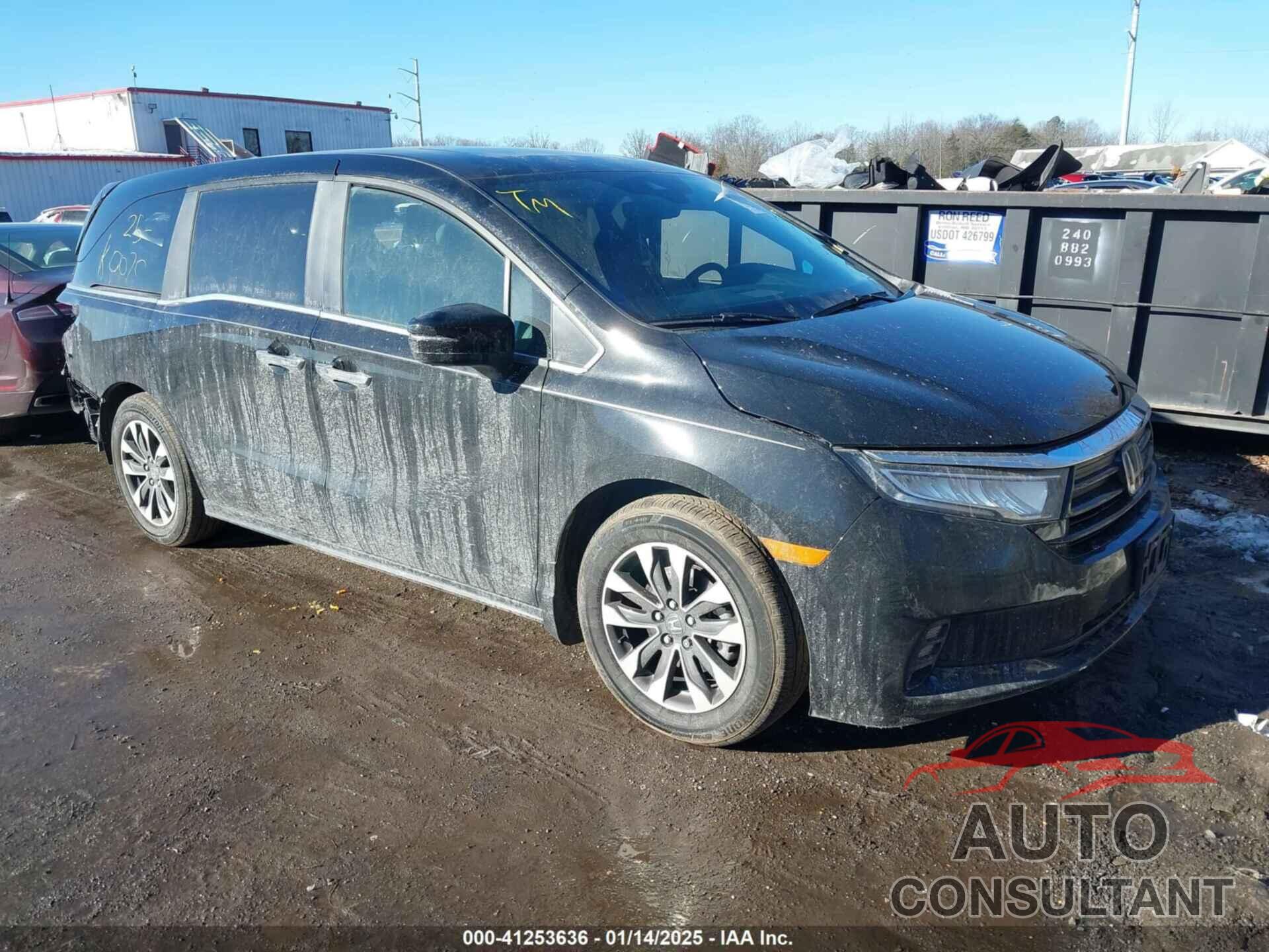 HONDA ODYSSEY 2024 - 5FNRL6H63RB057902