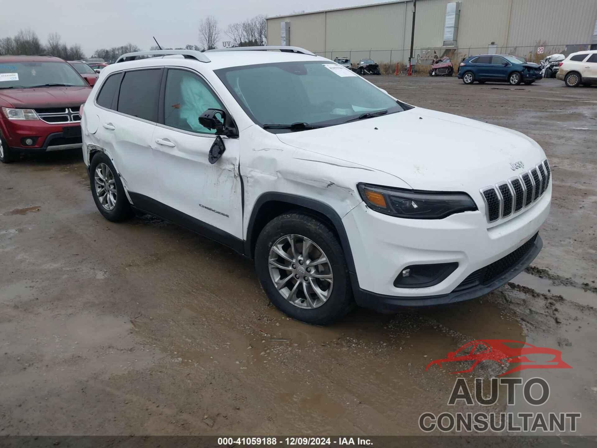 JEEP CHEROKEE 2019 - 1C4PJMLBXKD199084