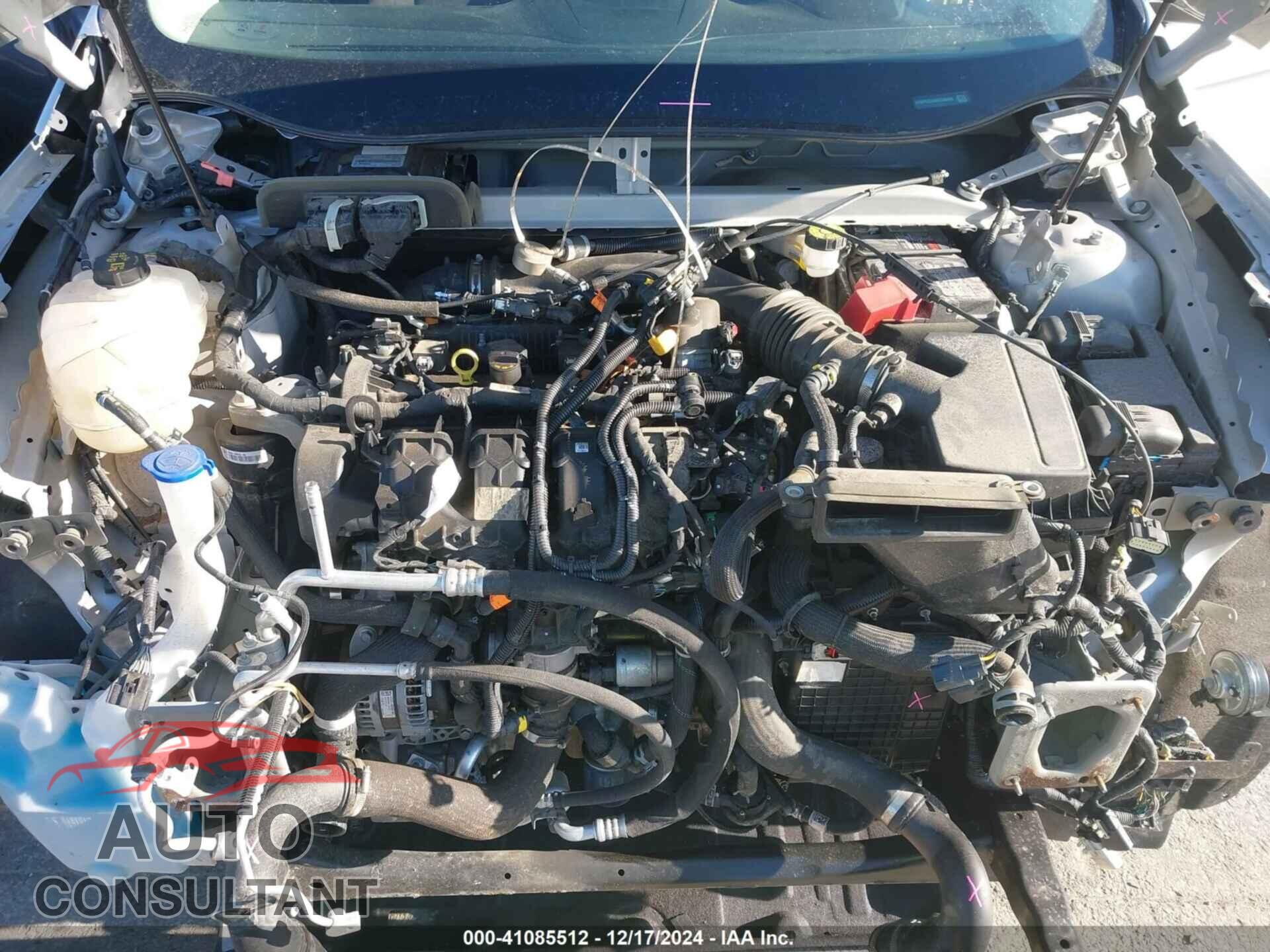 FORD EDGE 2019 - 2FMPK3G98KBC45446