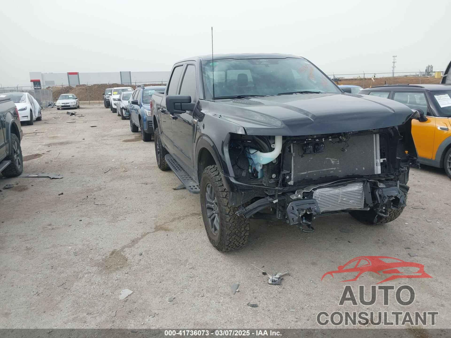 FORD F-150 2024 - 1FTFW4L86RFB21286