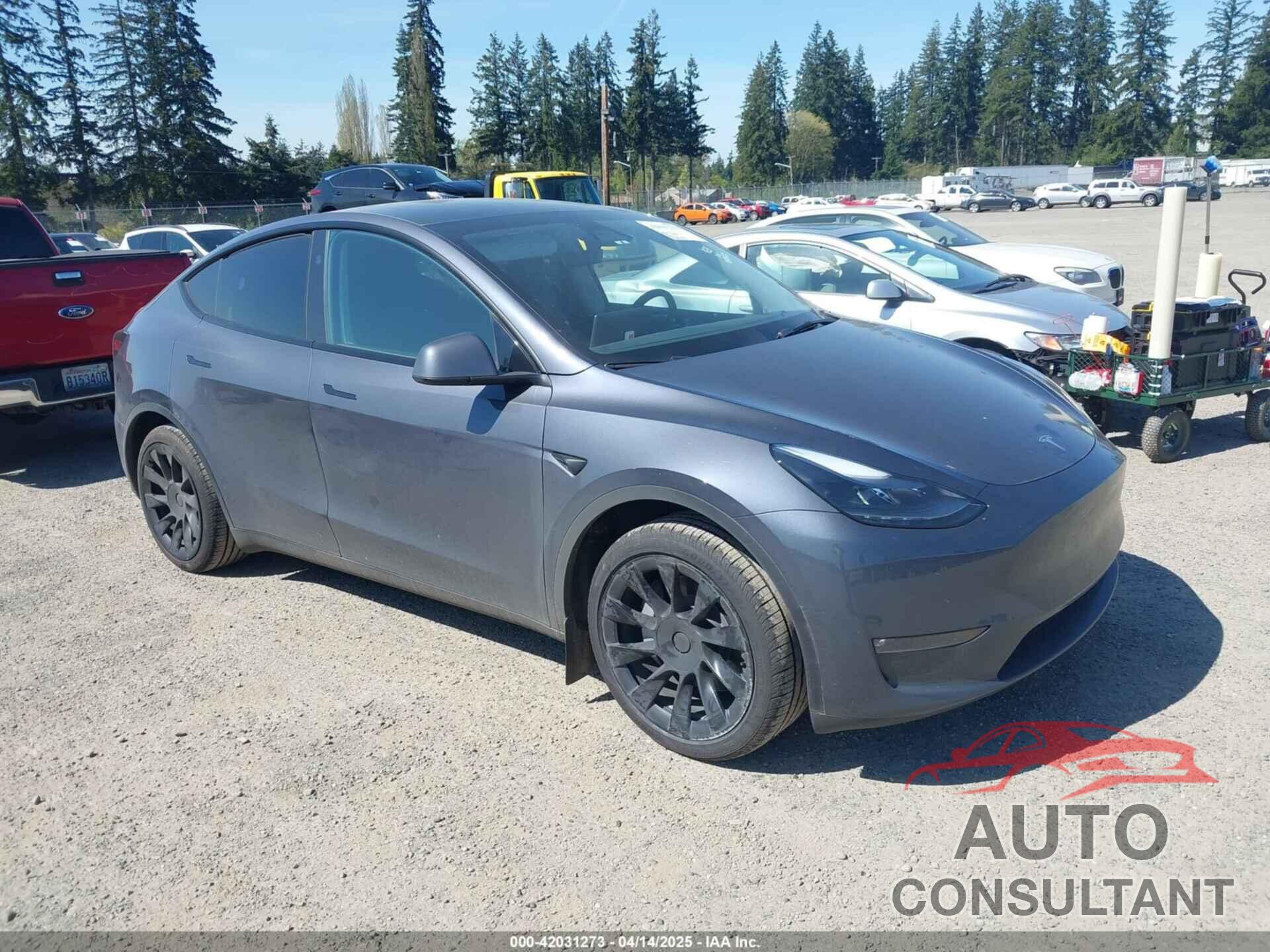 TESLA MODEL Y 2023 - 7SAYGDED5PF967493