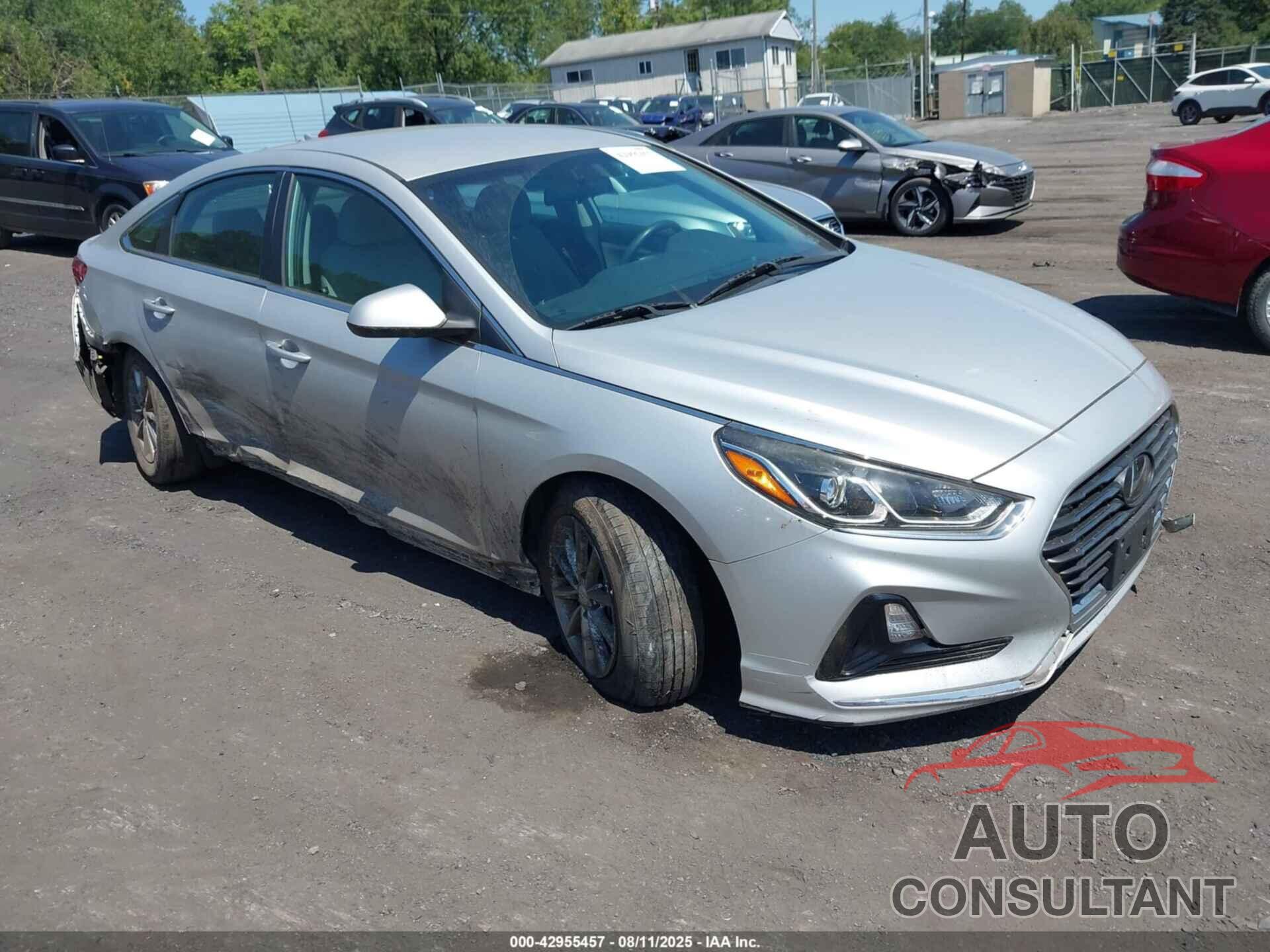 HYUNDAI SONATA 2019 - 5NPE24AF0KH754628