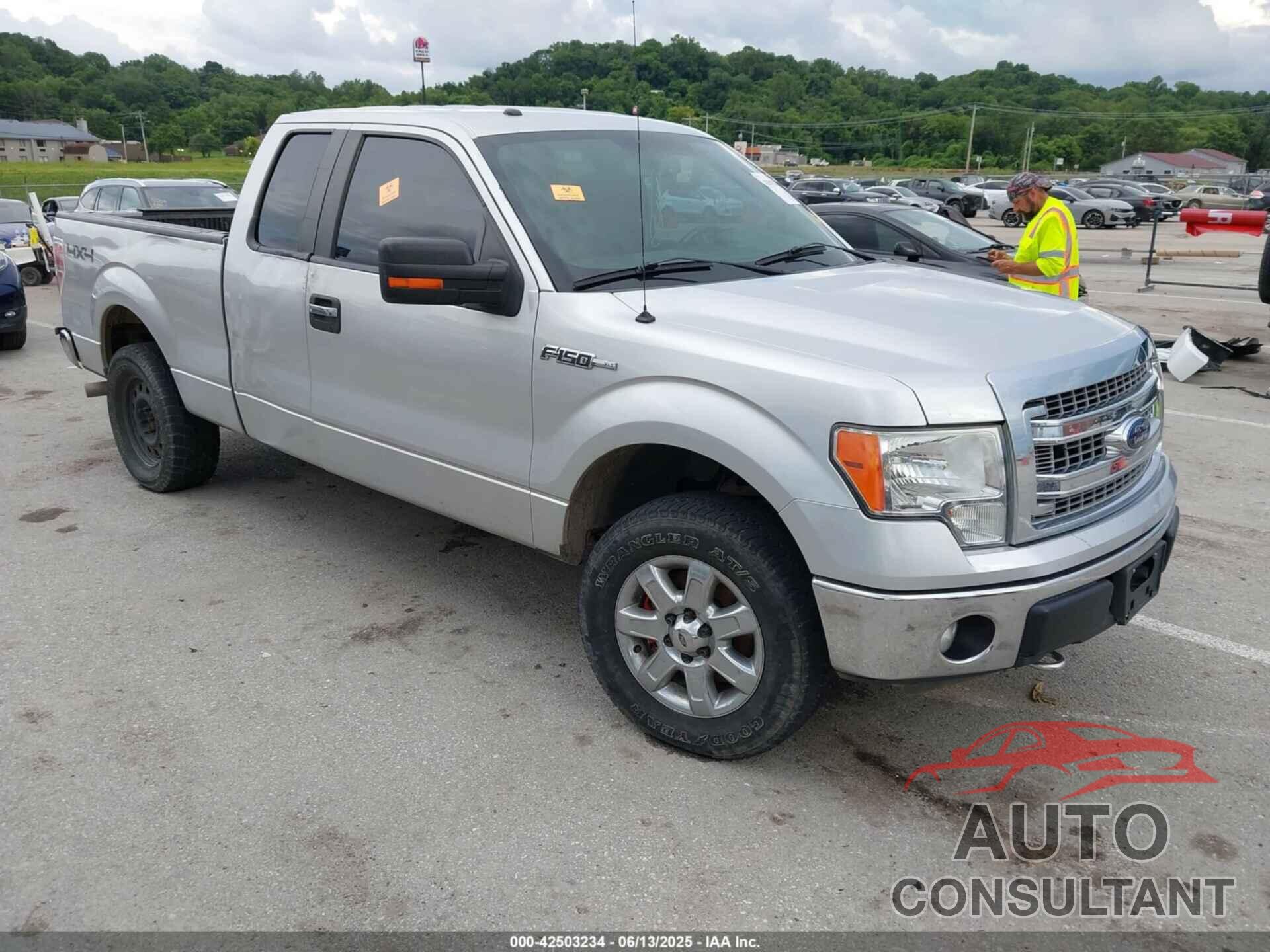 FORD F-150 2014 - 1FTEX1EMXEFB01134