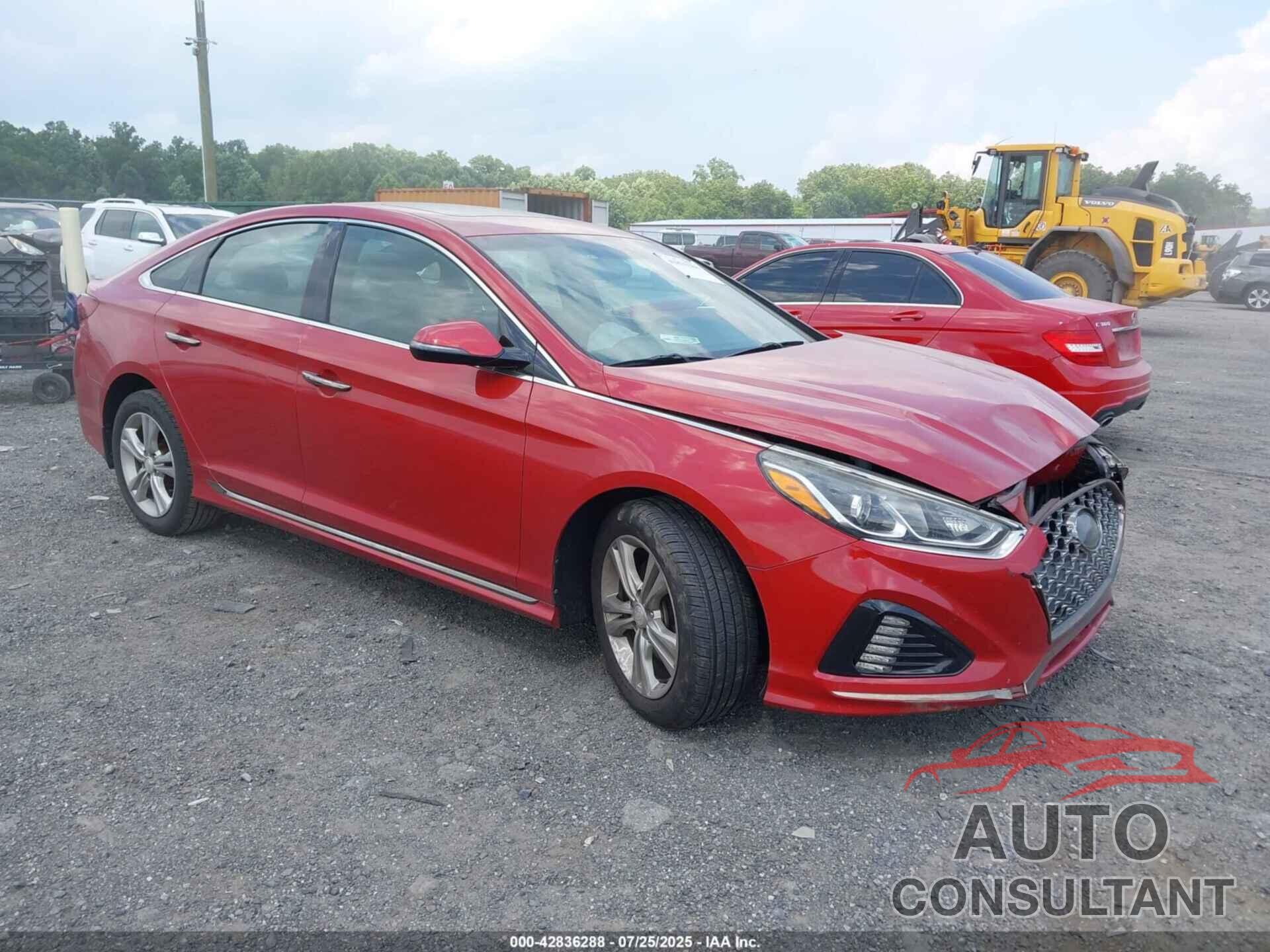 HYUNDAI SONATA 2019 - 5NPE34AFXKH729037