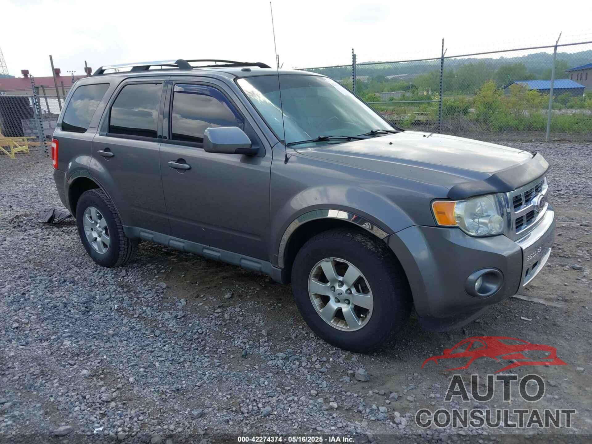 FORD ESCAPE 2010 - 1FMCU9EGXAKC05919