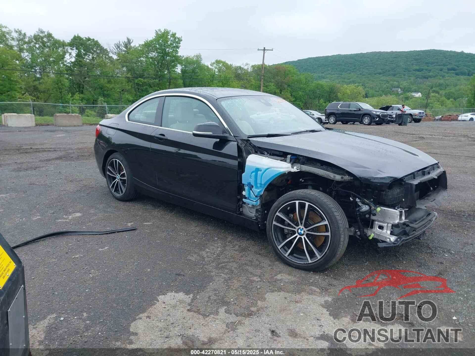BMW 230XI 2020 - WBA2J3C02L7E63806