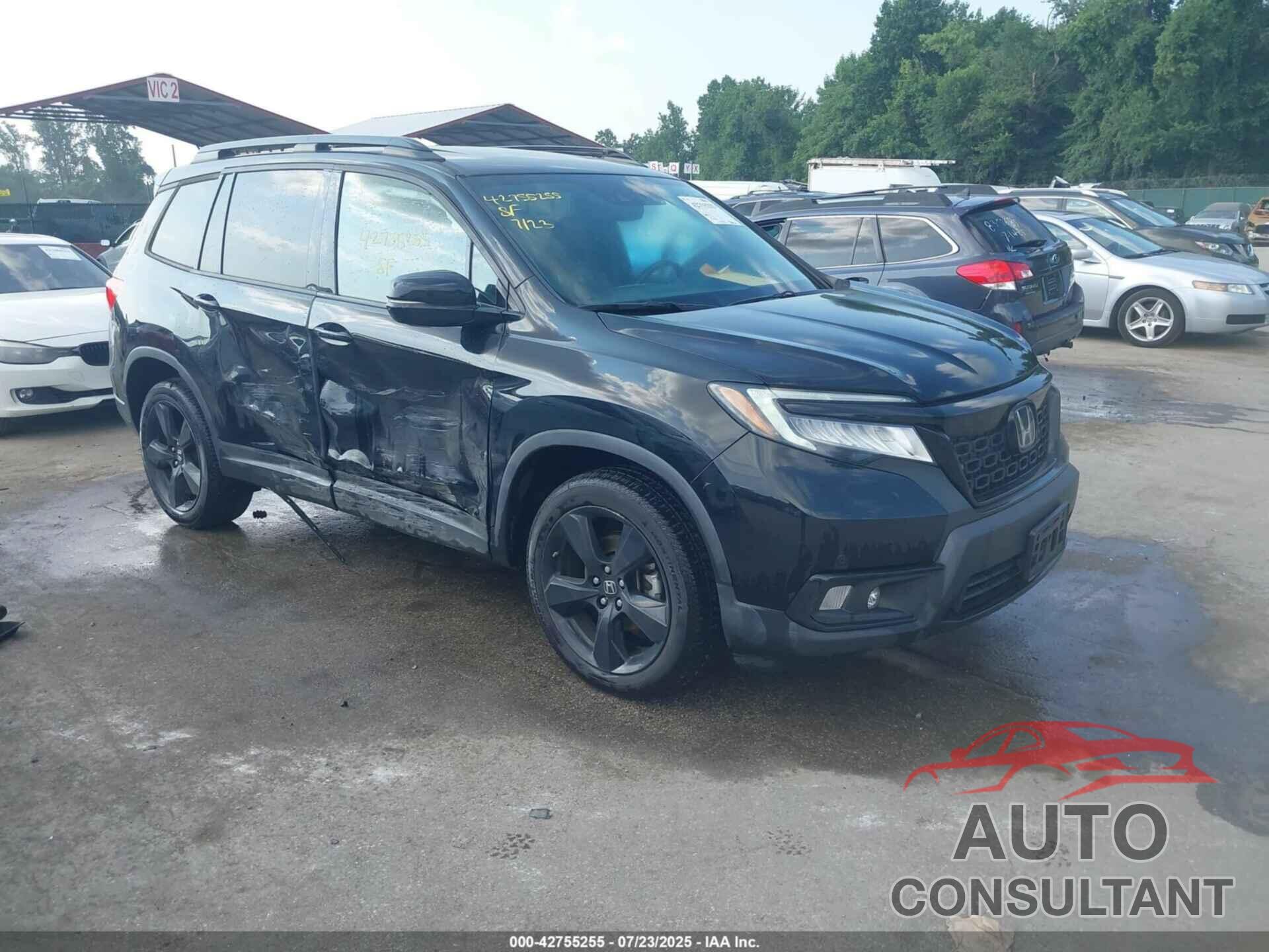 HONDA PASSPORT 2019 - 5FNYF8H04KB008322