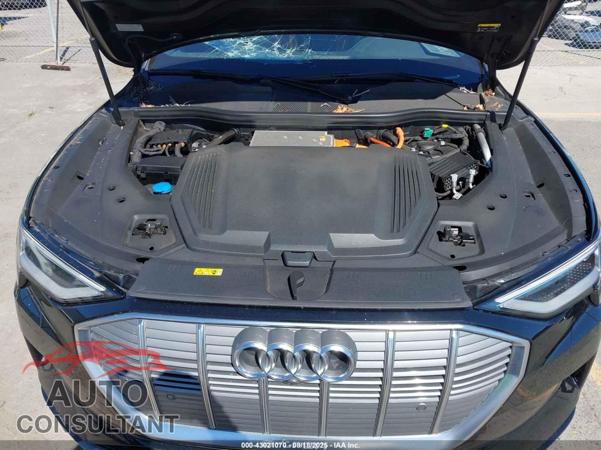 AUDI E-TRON 2019 - WA1LABGE4KB021247
