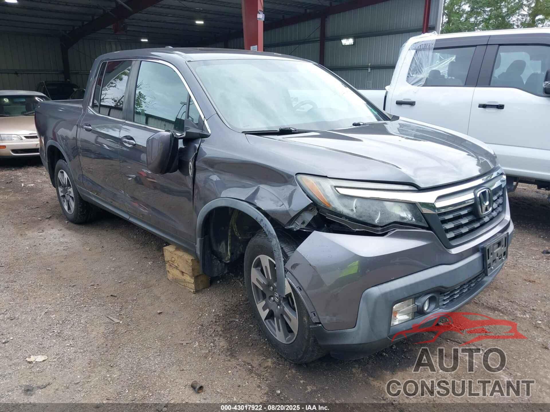 HONDA RIDGELINE 2019 - 5FPYK3F66KB006066